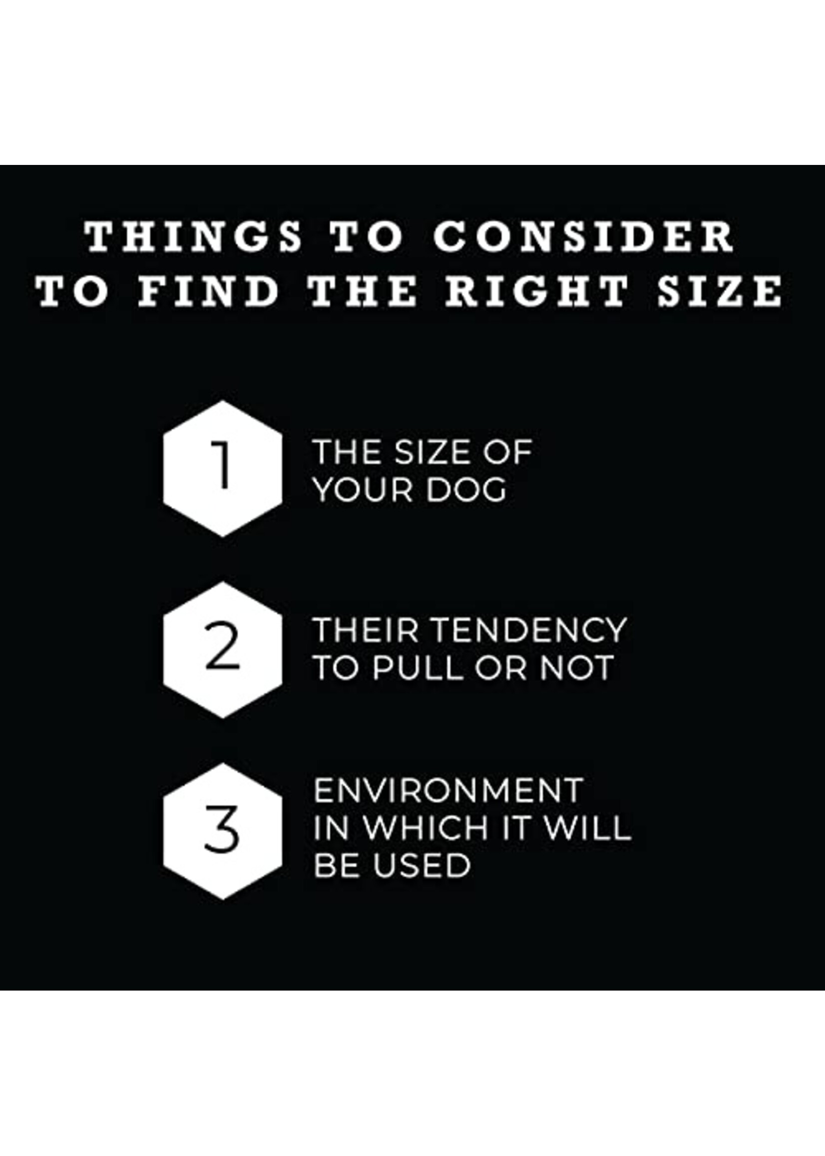 Wolfgang Digitaldog Harness Med 16”-24”