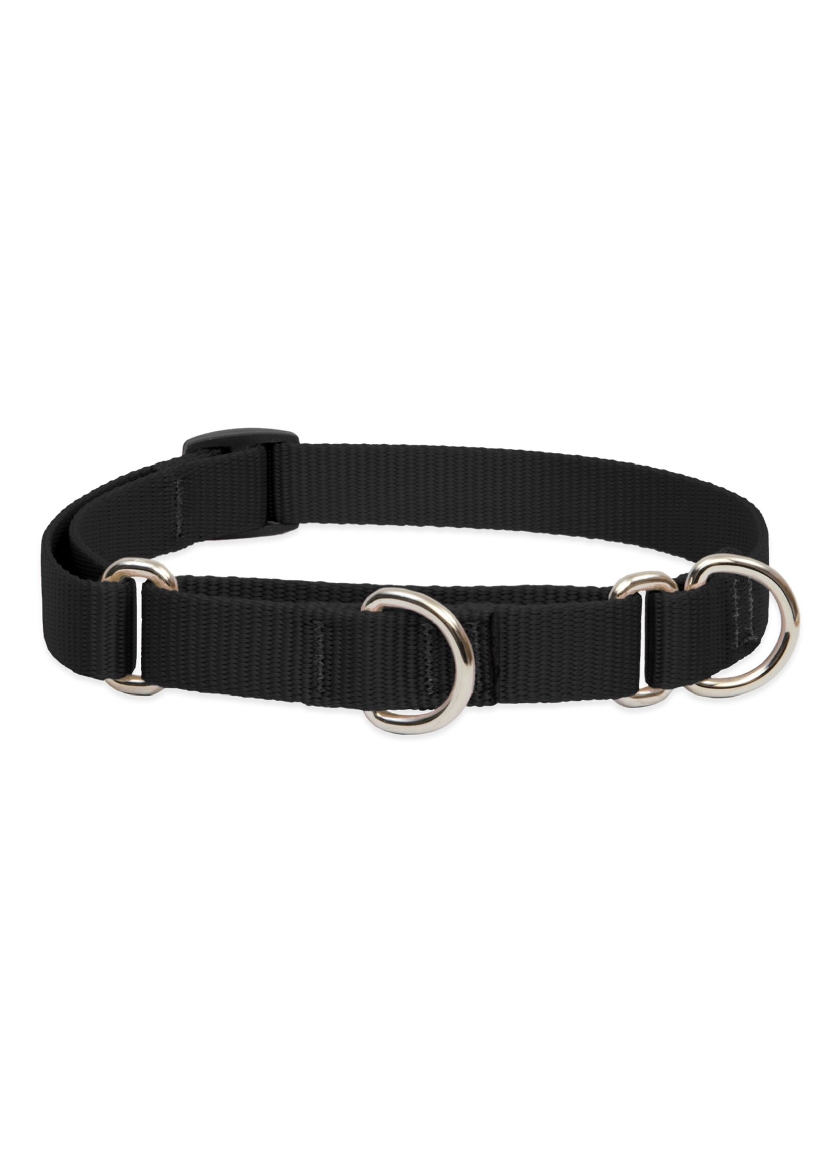 Lupine Basics Black Martingale Collar 3/4” (10-14”)