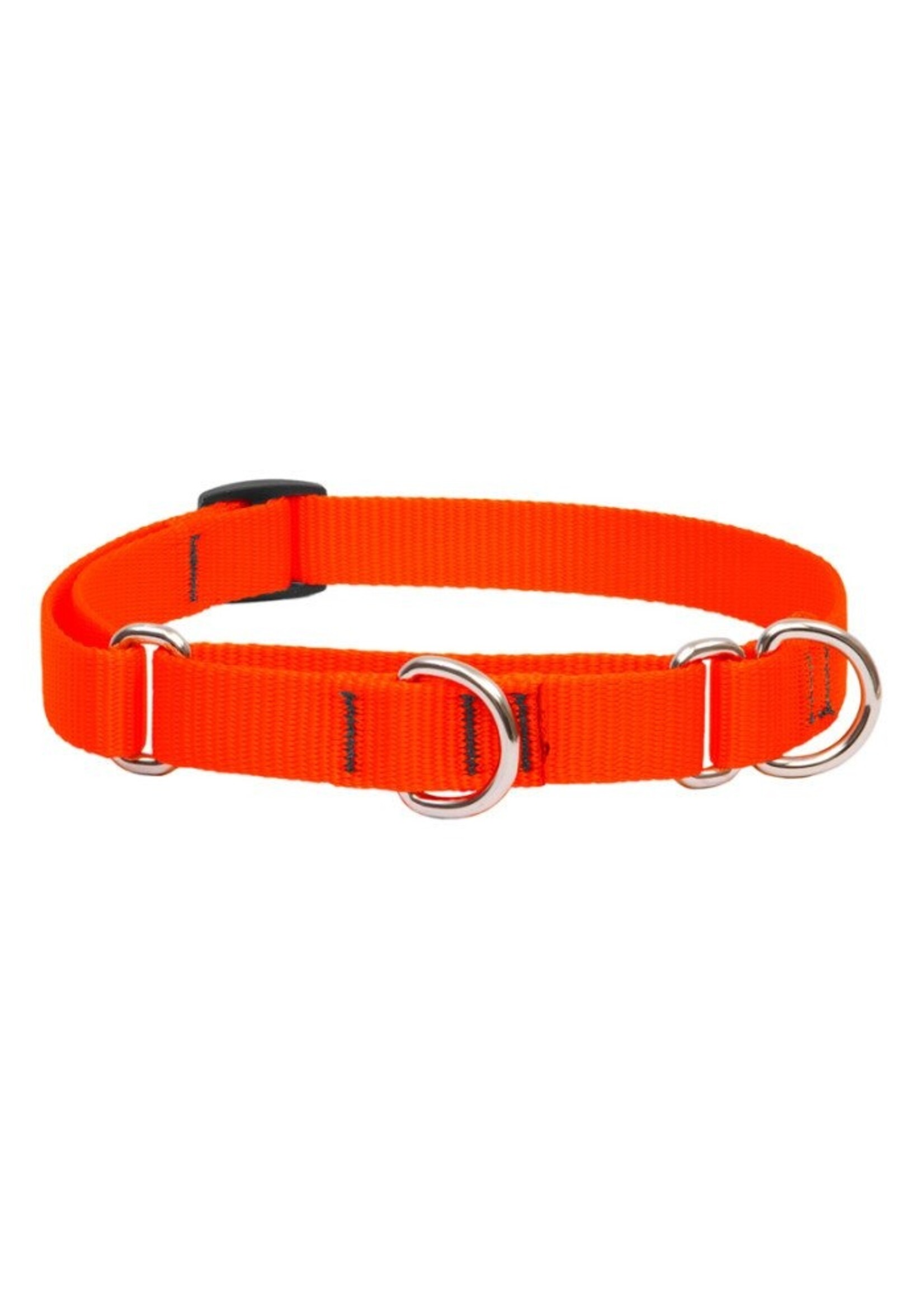 Lupine Basics Blaze Orange Martingale Collar 3/4” (10-14”)