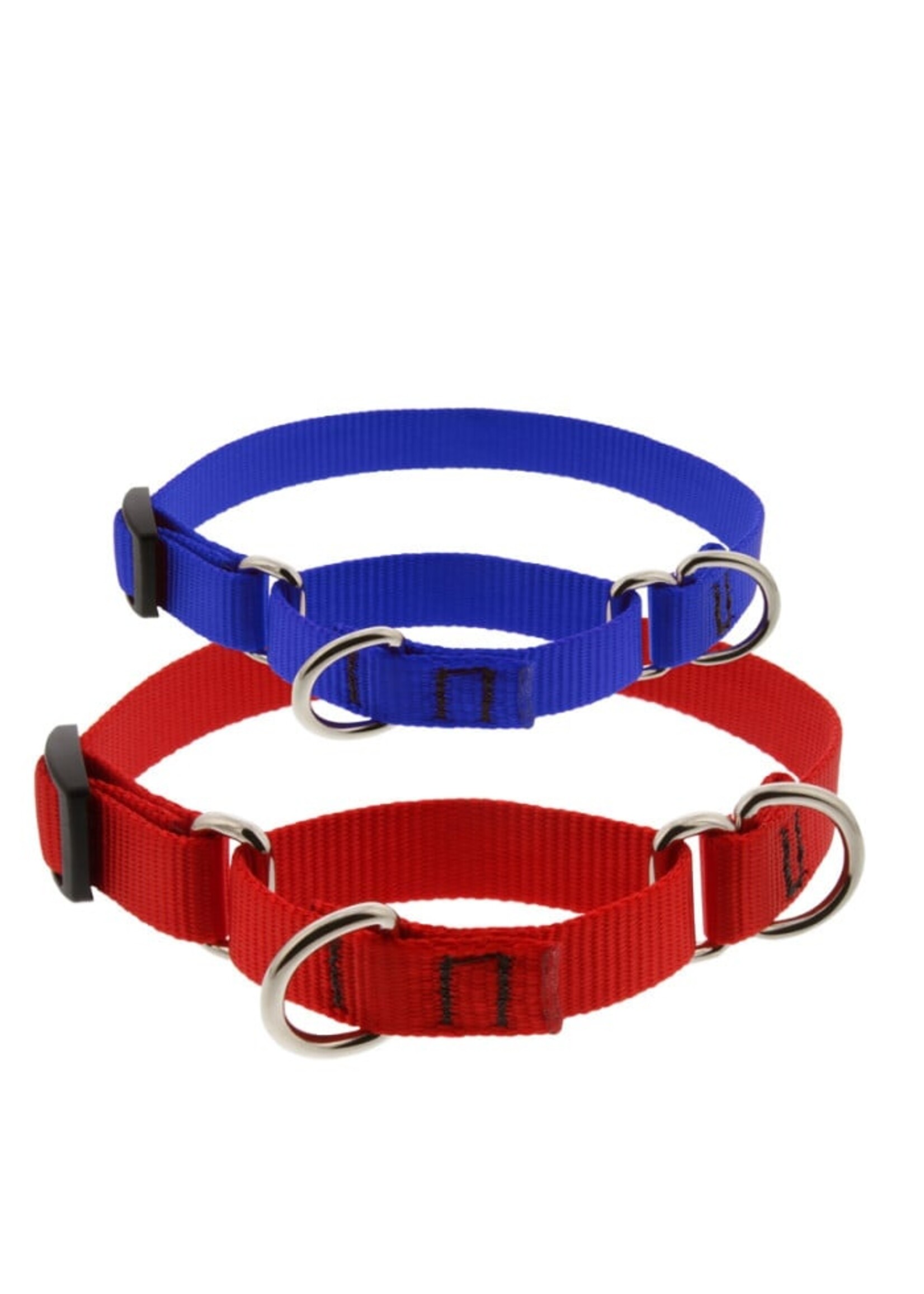 Lupine Basics Pink Martingale Collar 3/4” (10-14”)