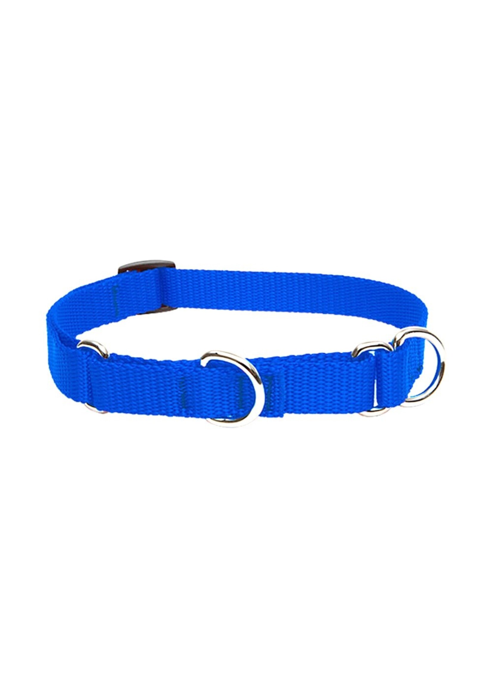 Lupine Basics Blue Martingale Collar 3/4” (10-14”)