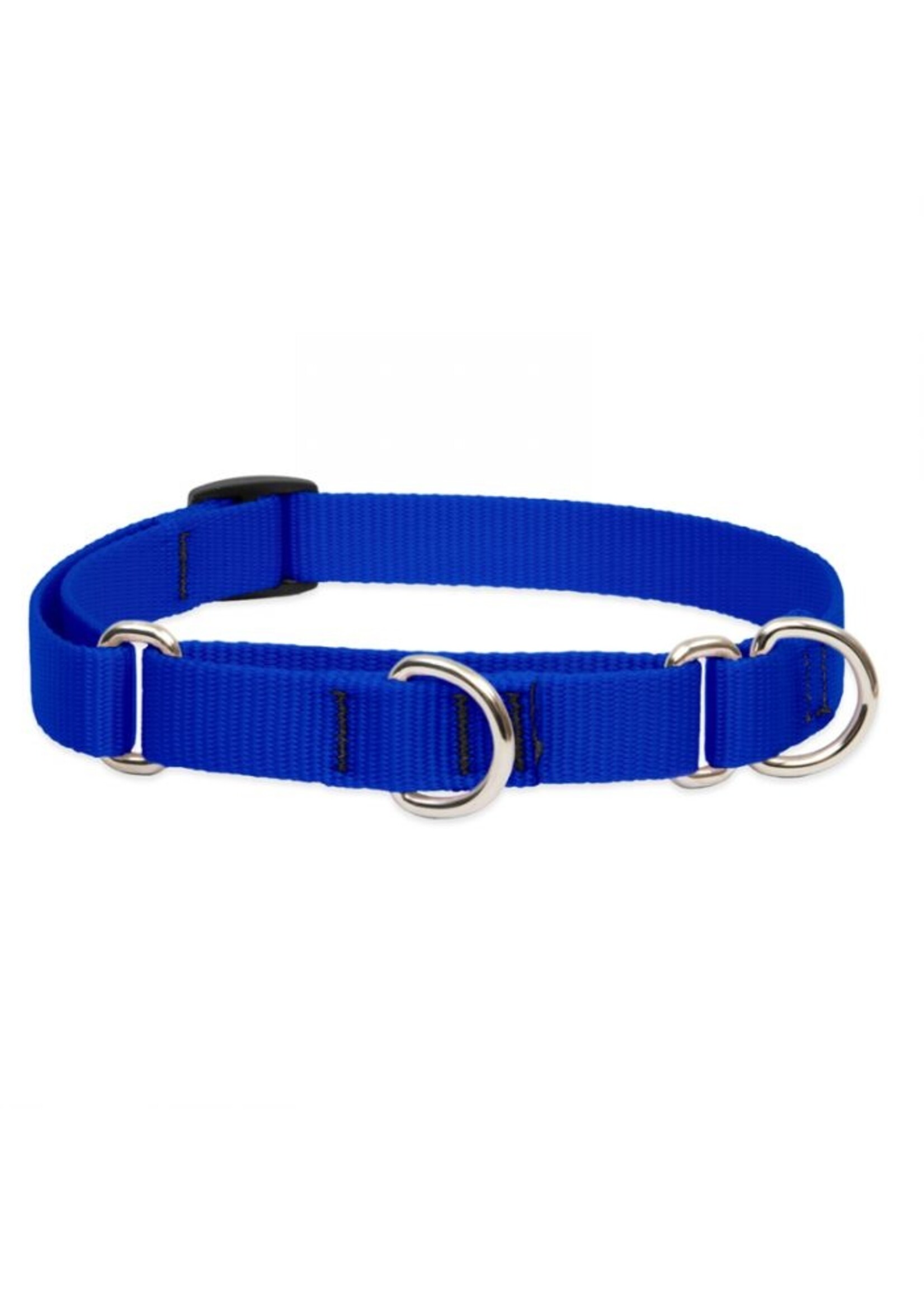 Lupine Basics Blue Martingale Collar 3/4” (14-20”)
