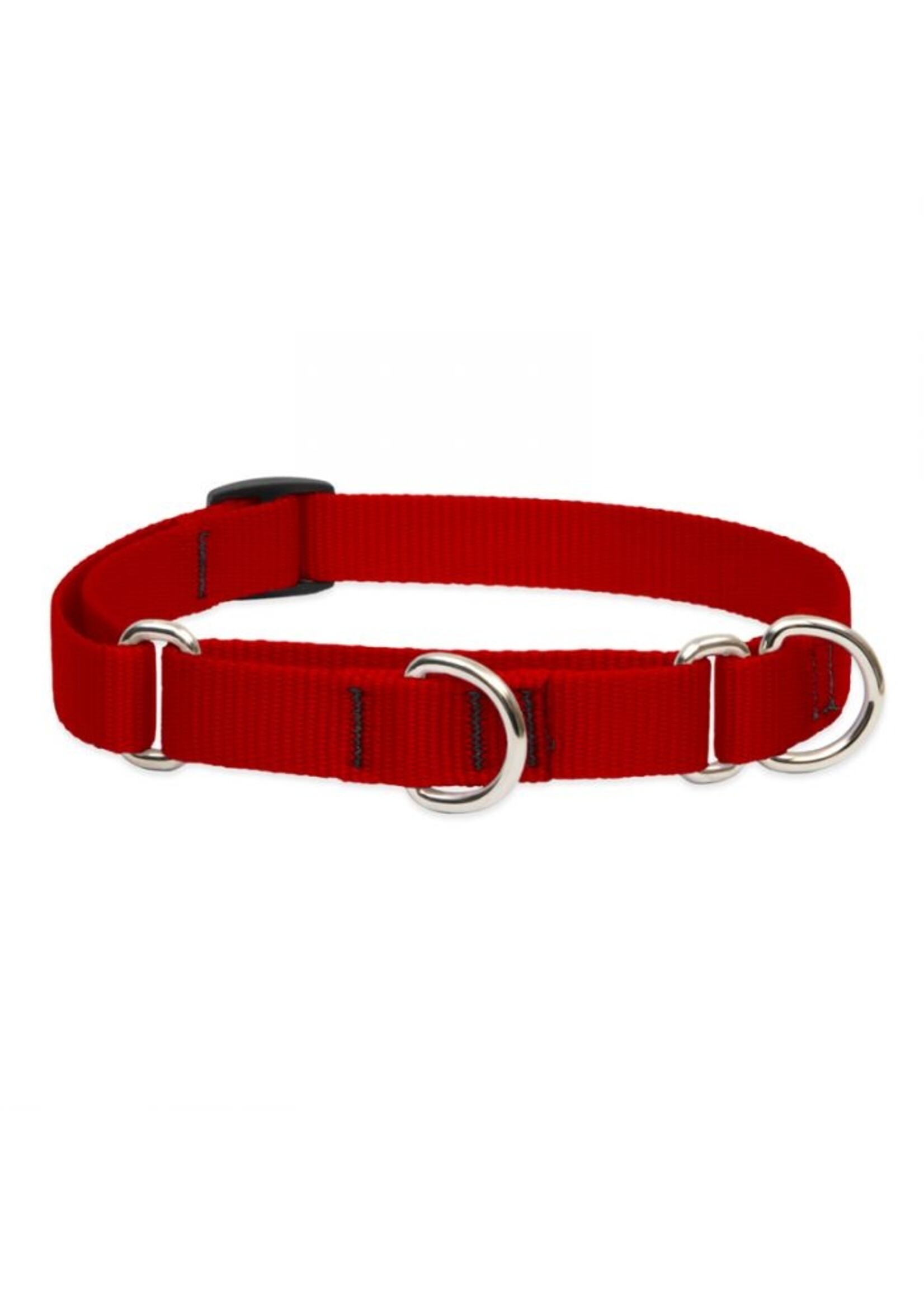 Lupine Basics Red Martingale Collar 3/4” (14-20”)