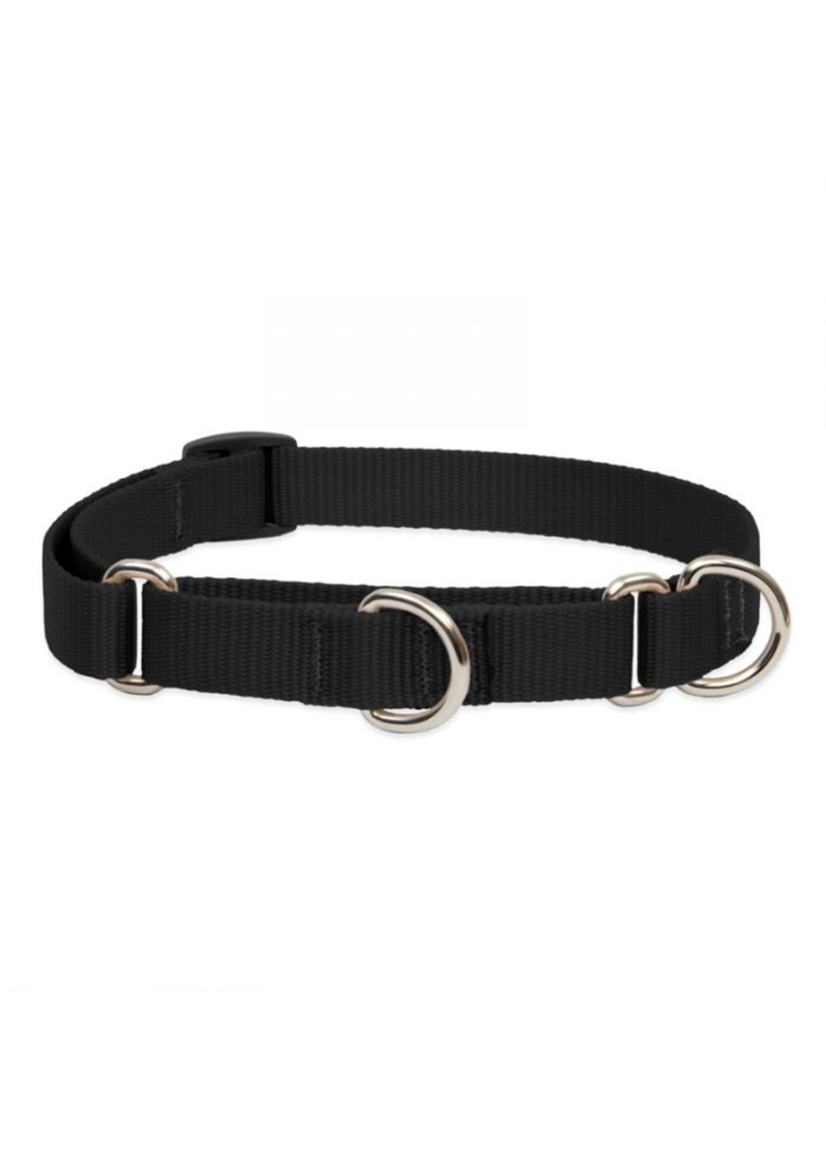 Lupine Basics Black Martingale Collar 3/4” (14-20”)