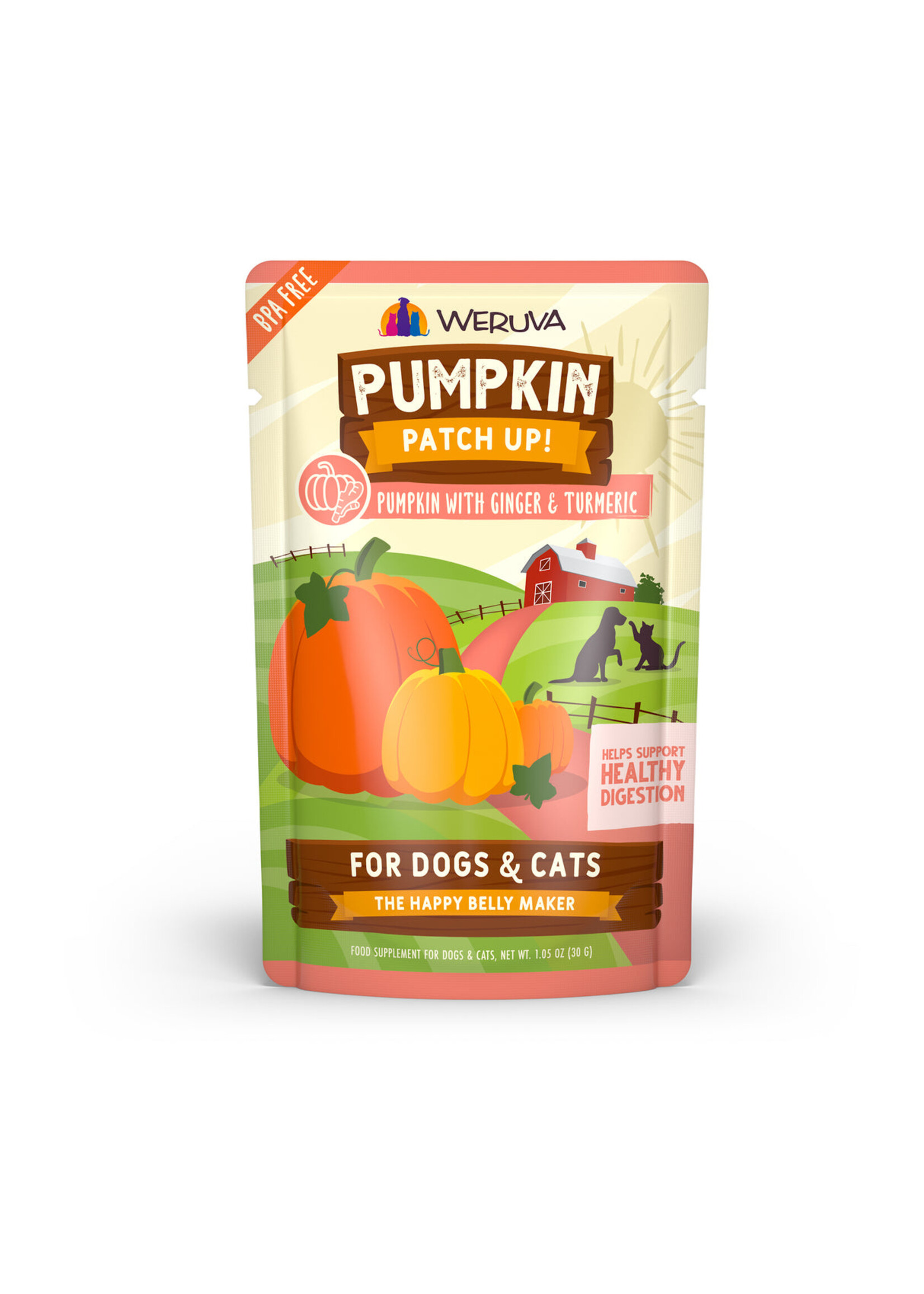 Weruva Pumpkin Patch Up 1.05 oz (Ginger/Turmeric)