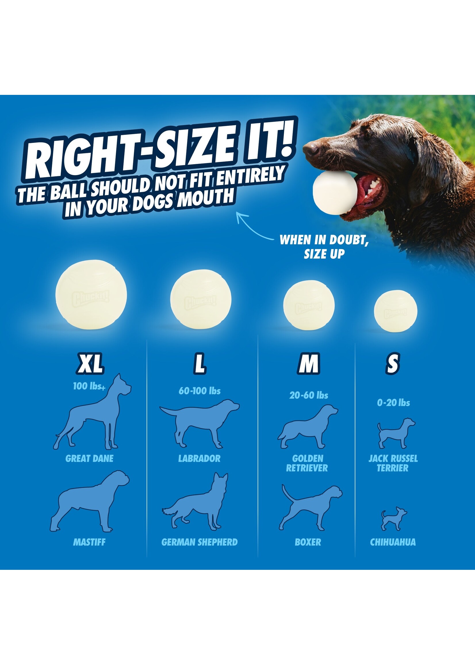 Chuck It Ball Max Glow L