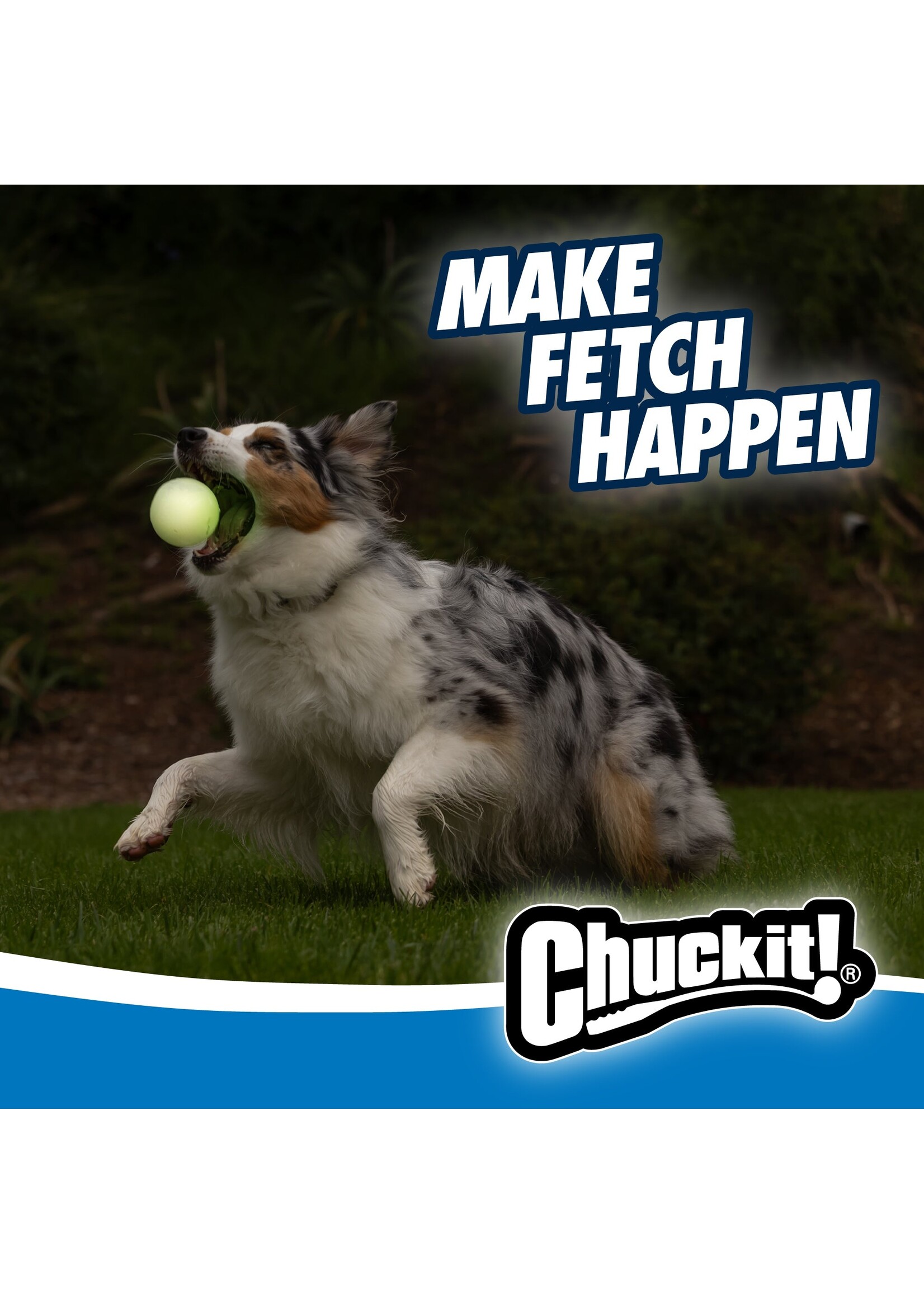 Chuck It Ball Max Glow L