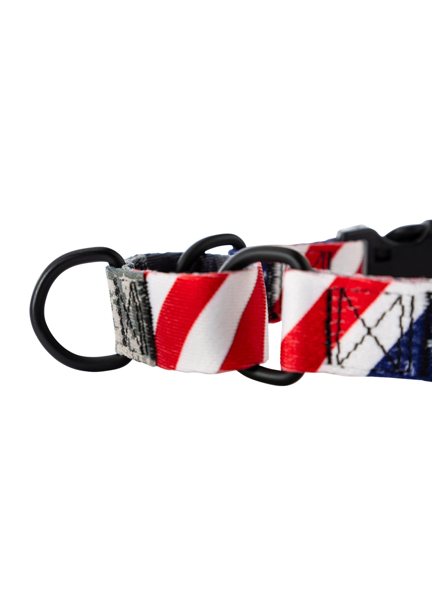 Wolfgang DigitalDog Martingale Collar XL (22-29”)
