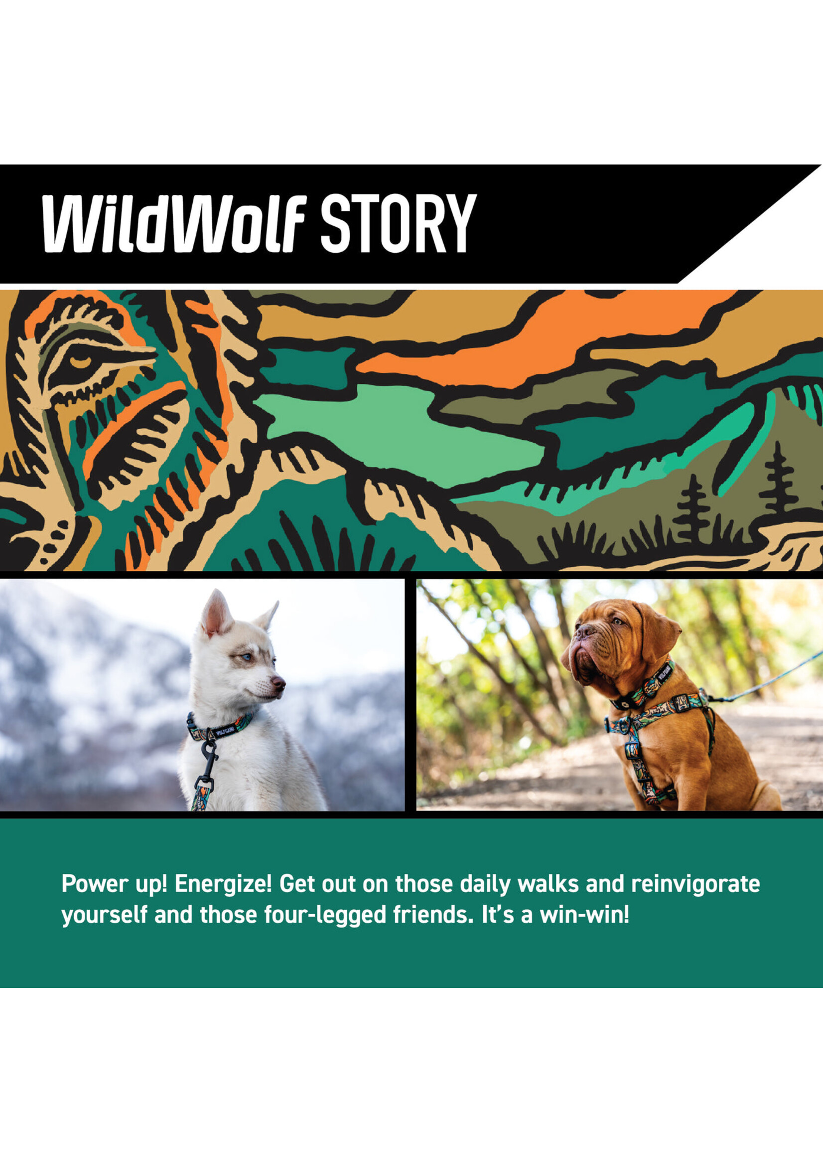 Wolfgang WildFlower Collar Sm (8-12”)