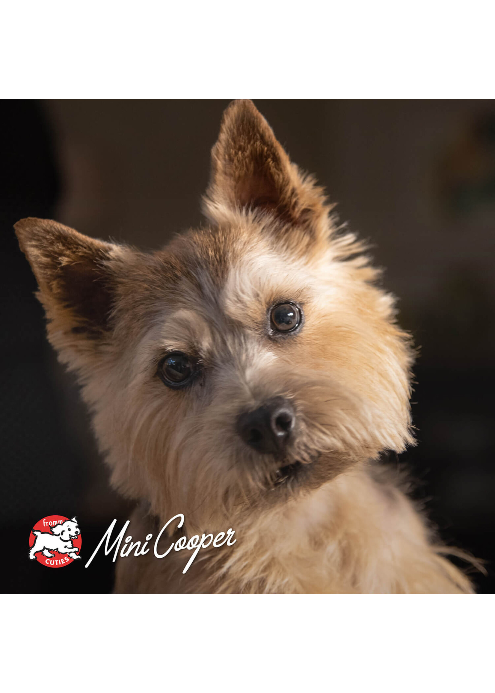 Frommbalaya Beef Veg & Rice Stew