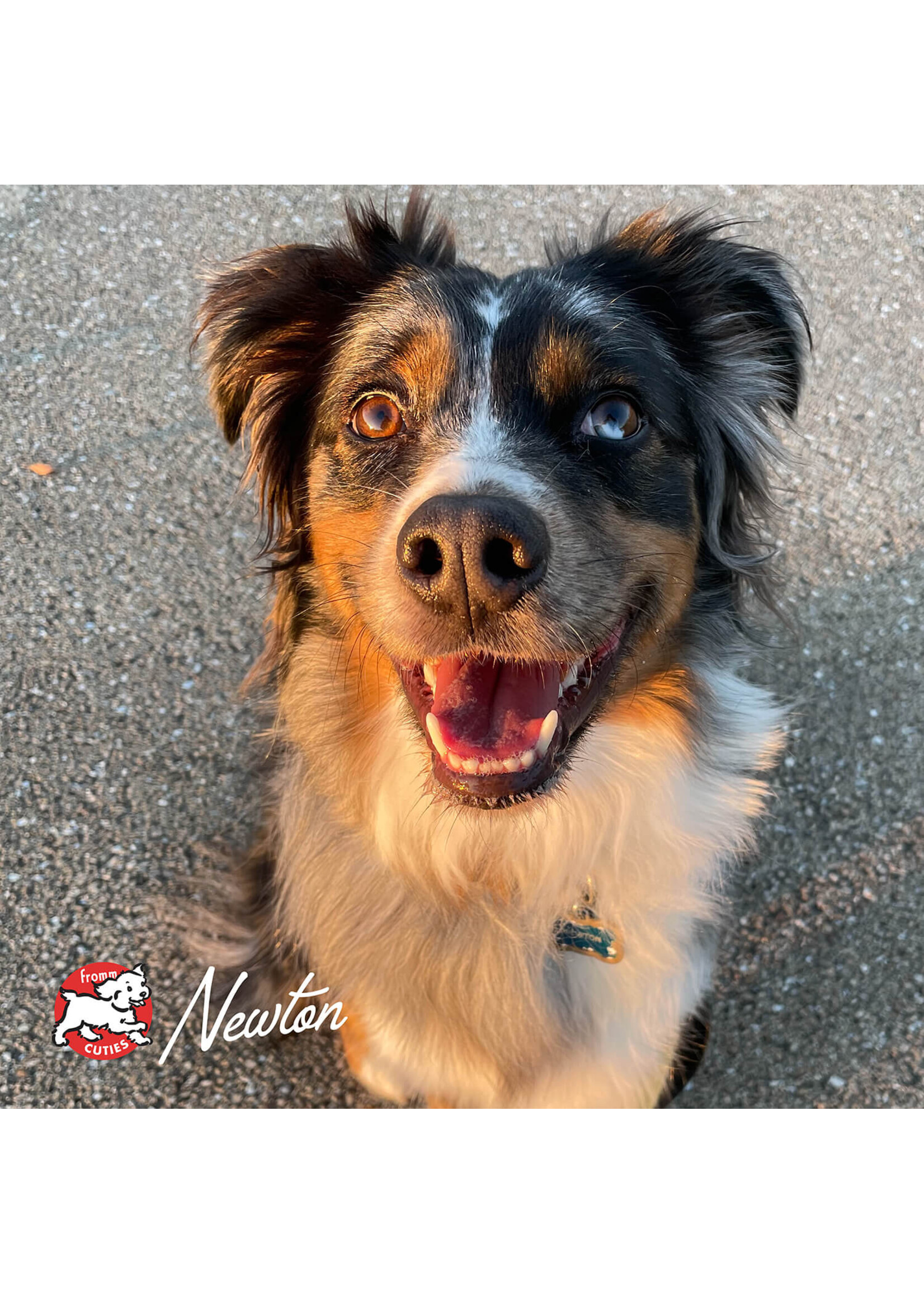 Frommbalaya Beef Veg & Rice Stew