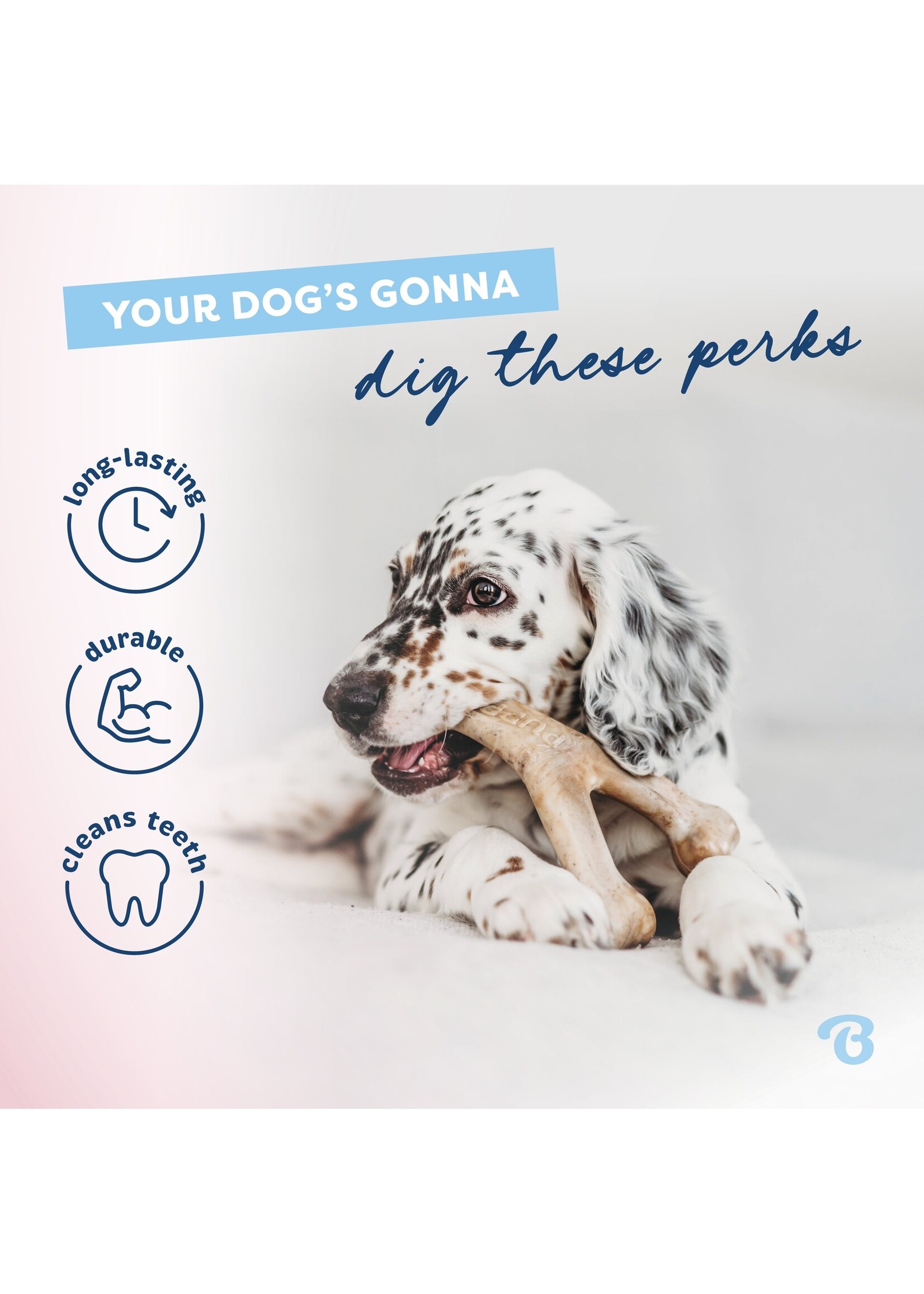 Benebone Puppy 2pk Rocker/Wishbone Bacon