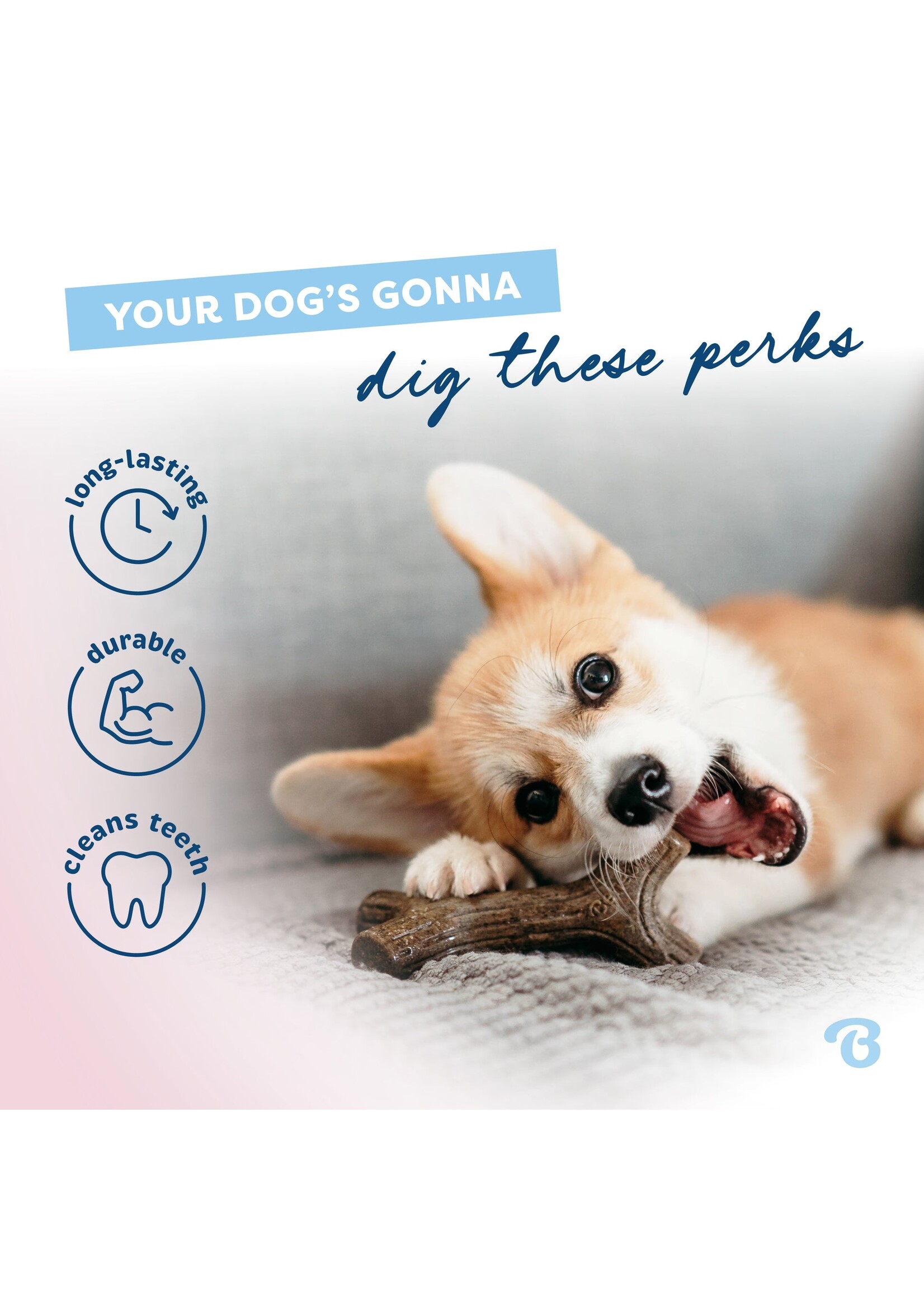 Benebone Puppy Maplestick Small