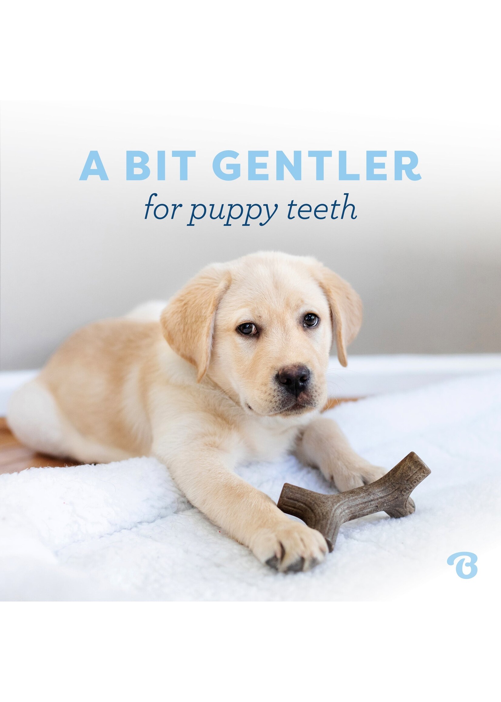 Benebone Puppy Maplestick Small