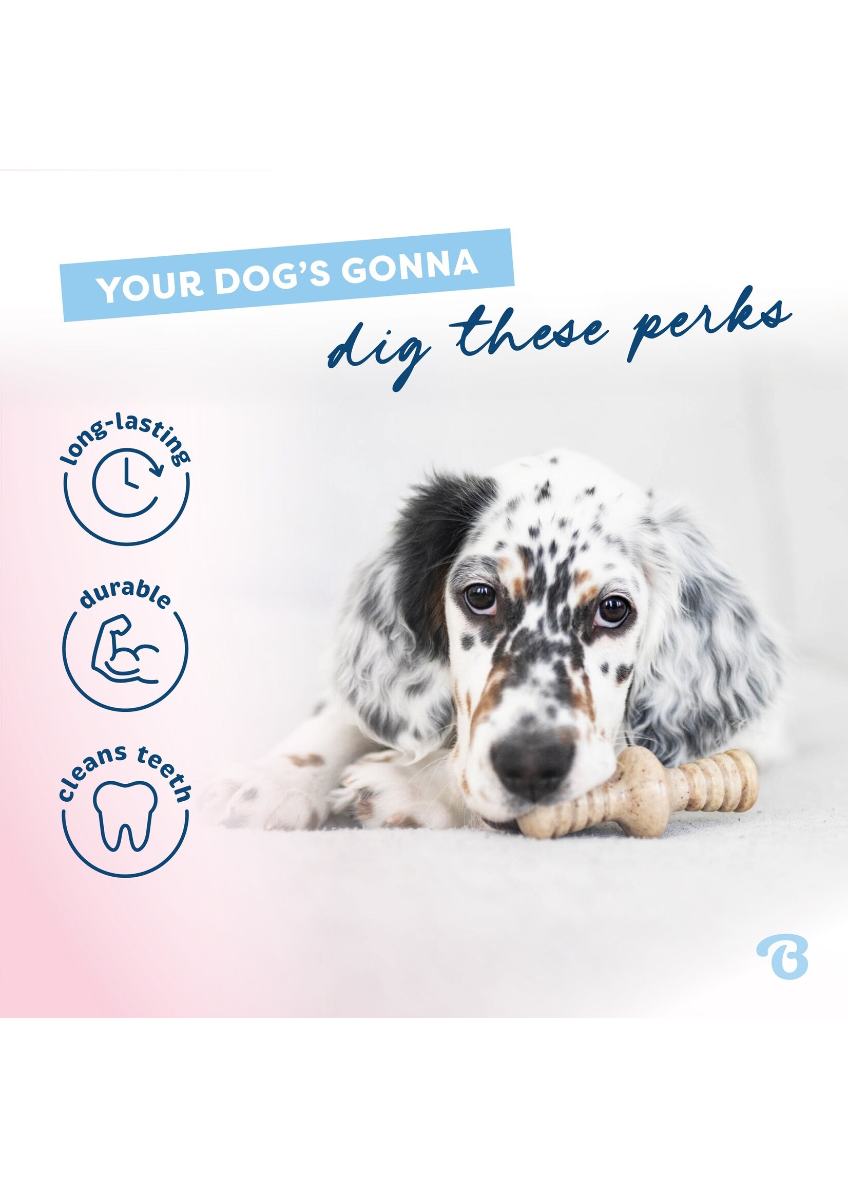 Benebone Puppy 2pk Stick/Zag Bacon