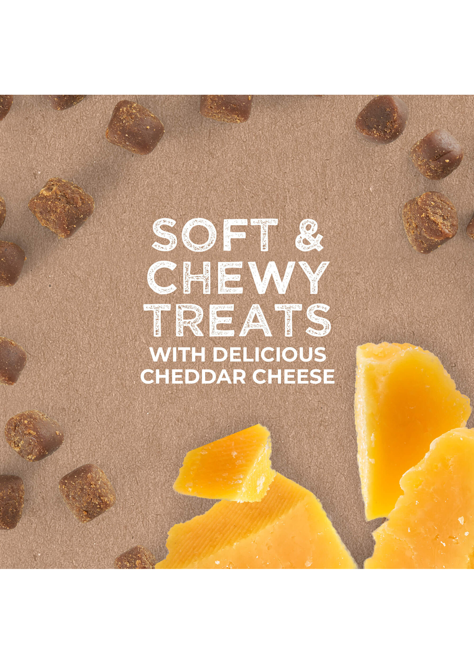 Tricky Trainer Chewy Cheddar Training Treats 14oz