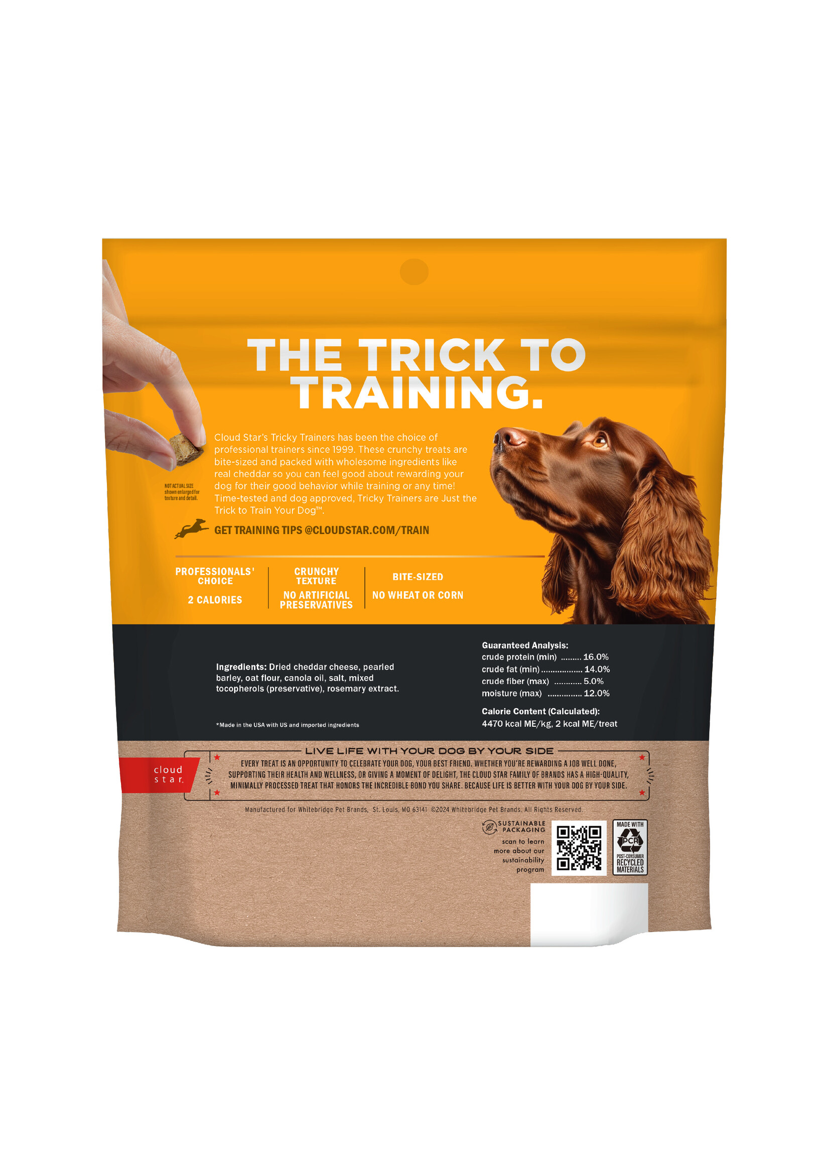 Tricky Trainer Crunchy Cheddar Training Treats 8oz