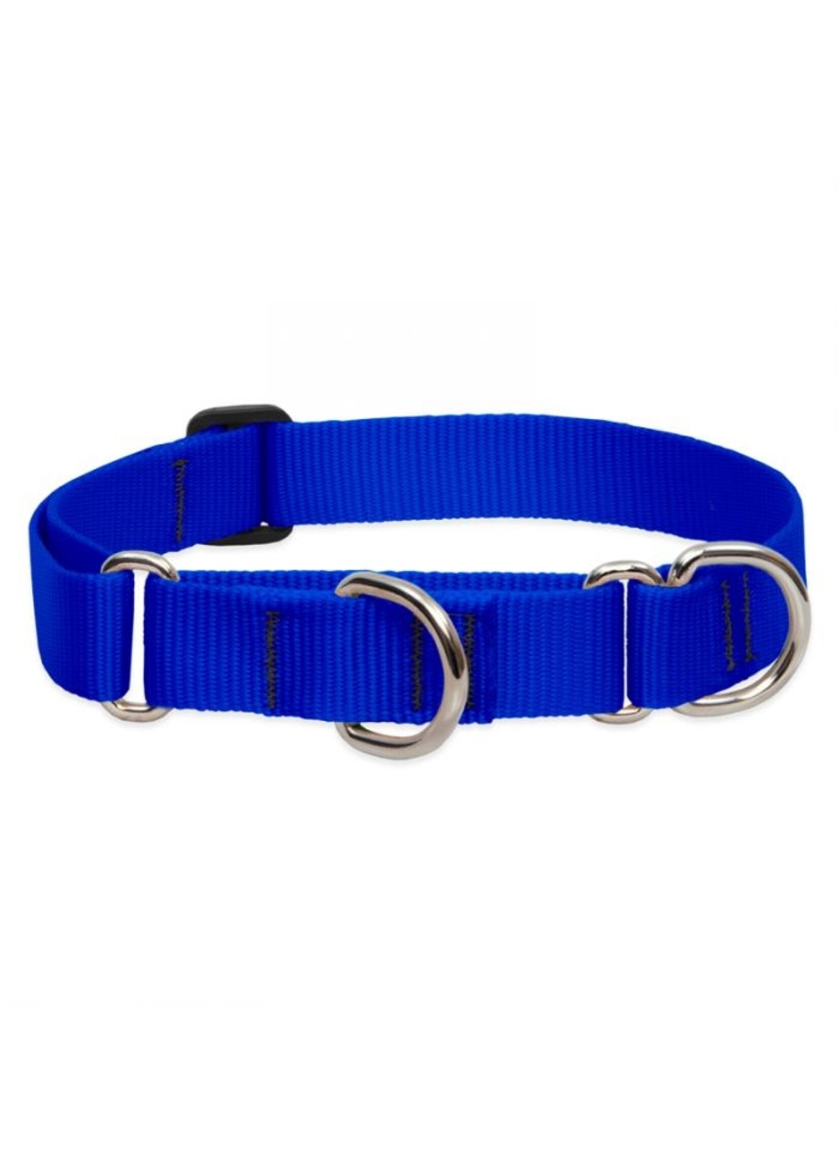 Lupine Basics Blue Martingale Collar 1” (19”-27”)