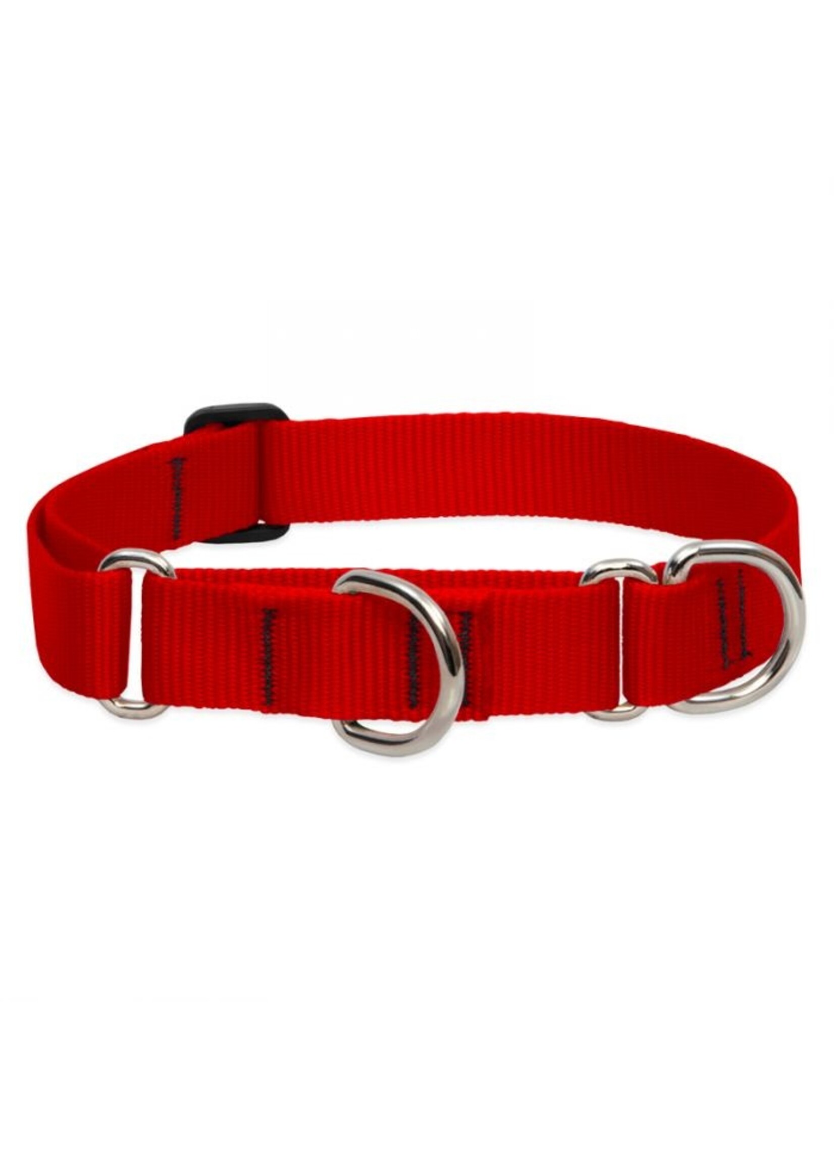 Lupine Basics Red Martingale 1” (19”-27”)
