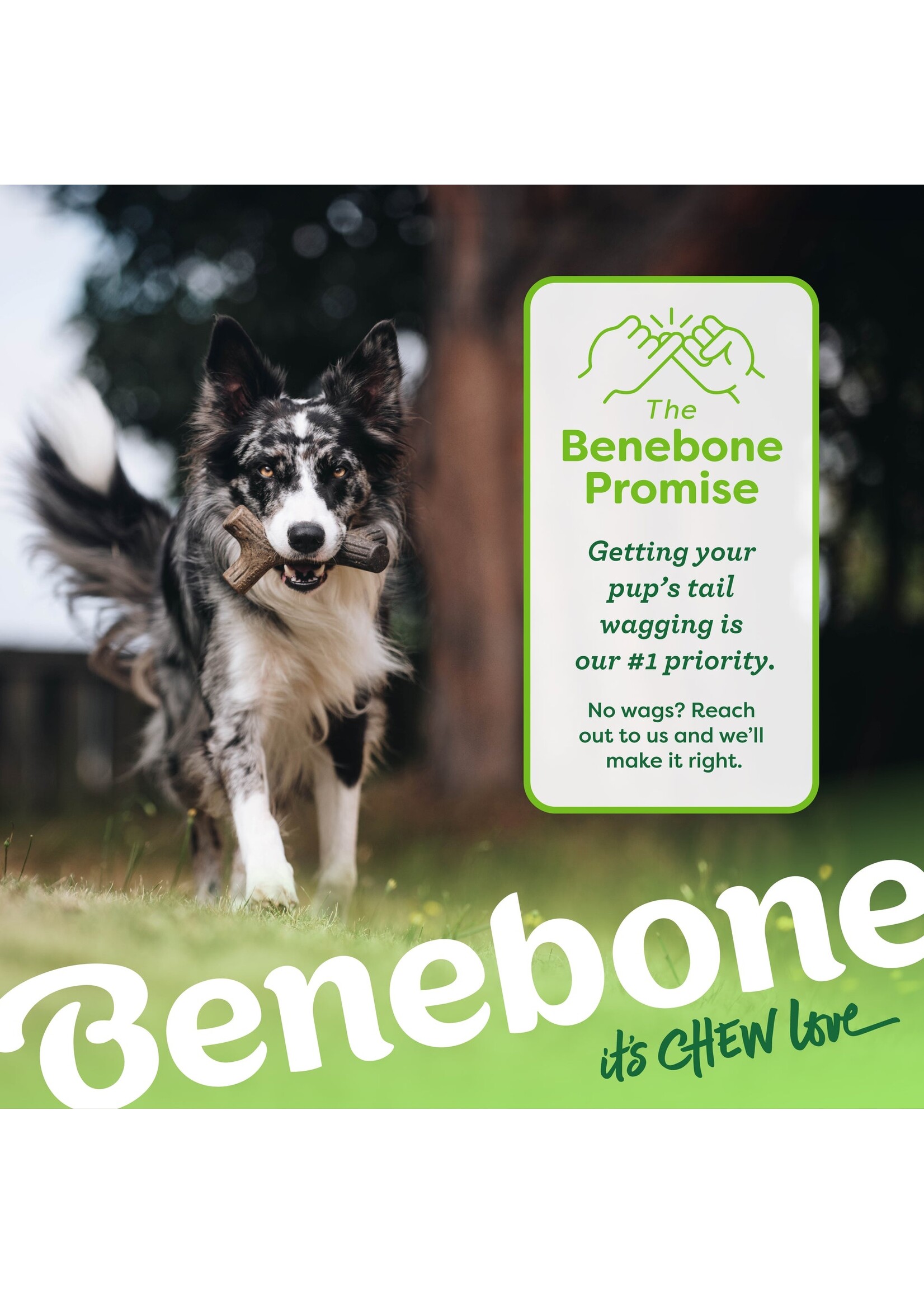 Benebone Maple Stick Lg