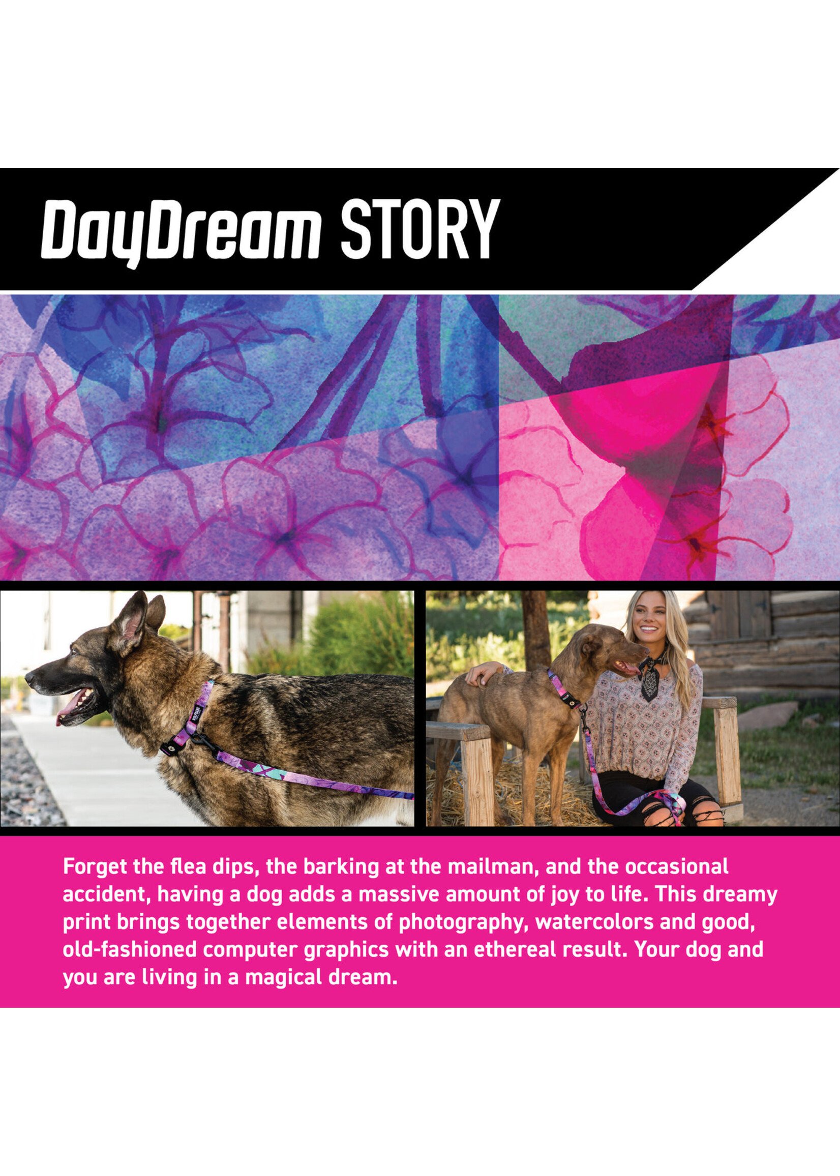 Wolfgang DayDream Collar XS (6-8”)