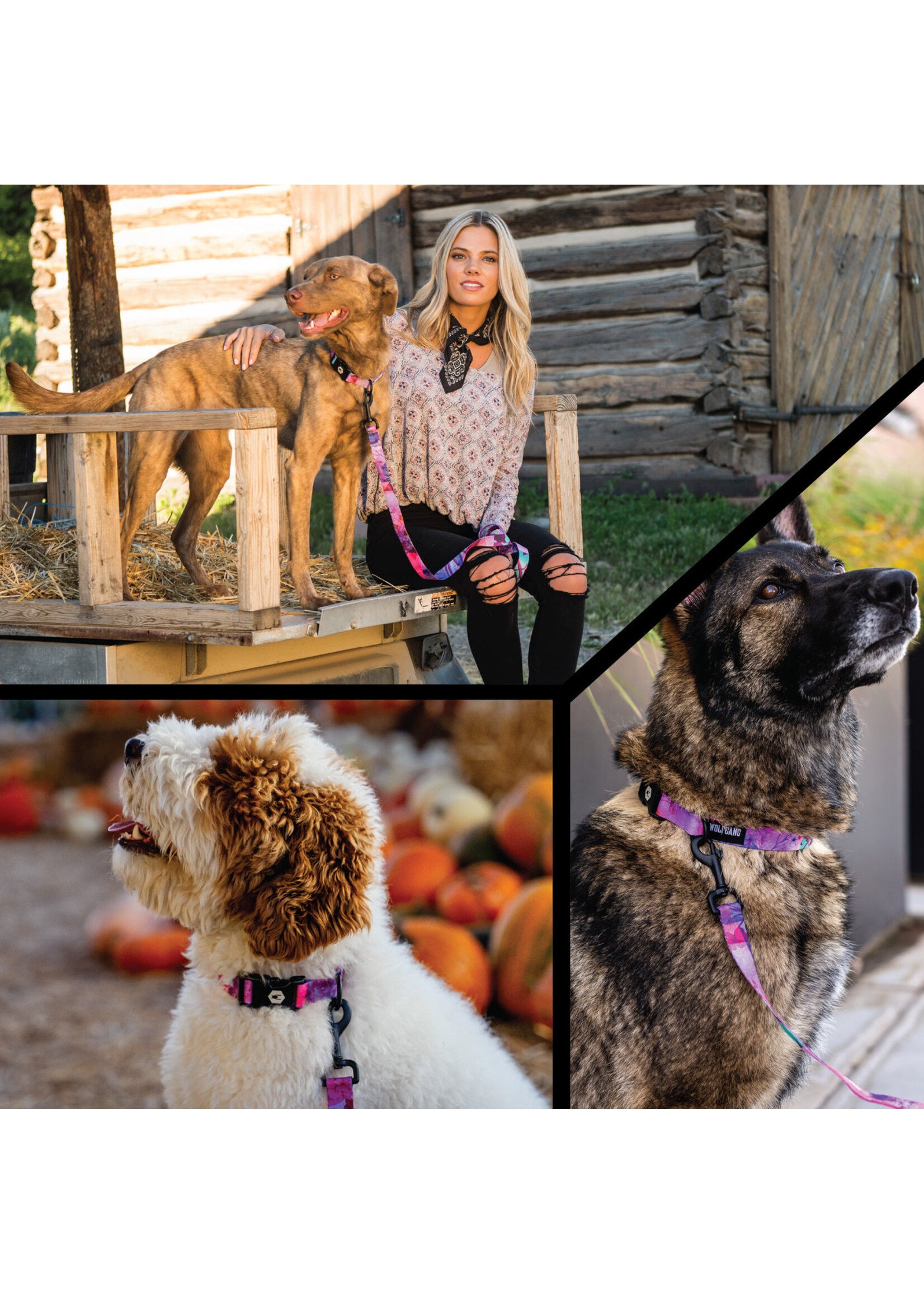 Wolfgang DayDream Collar XS (6-8”)