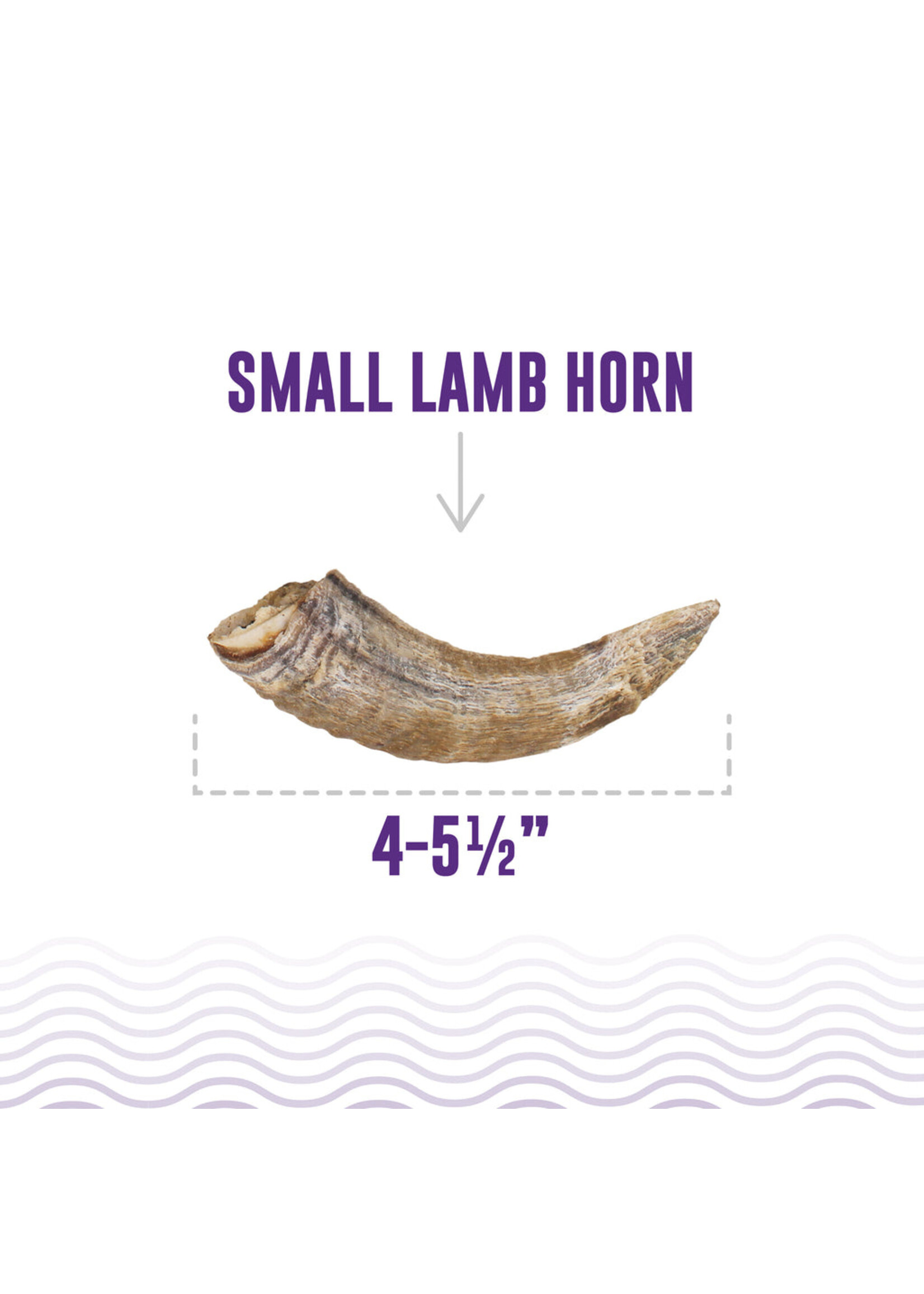 Lamb Horn Small w/ Marrow