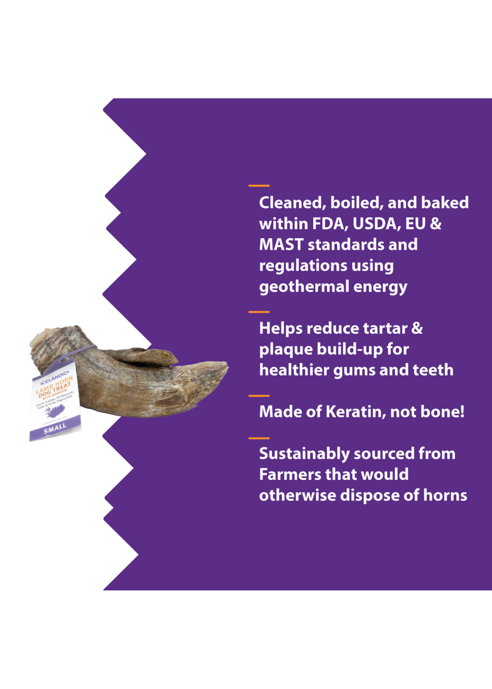 Lamb Horn Small w/ Marrow