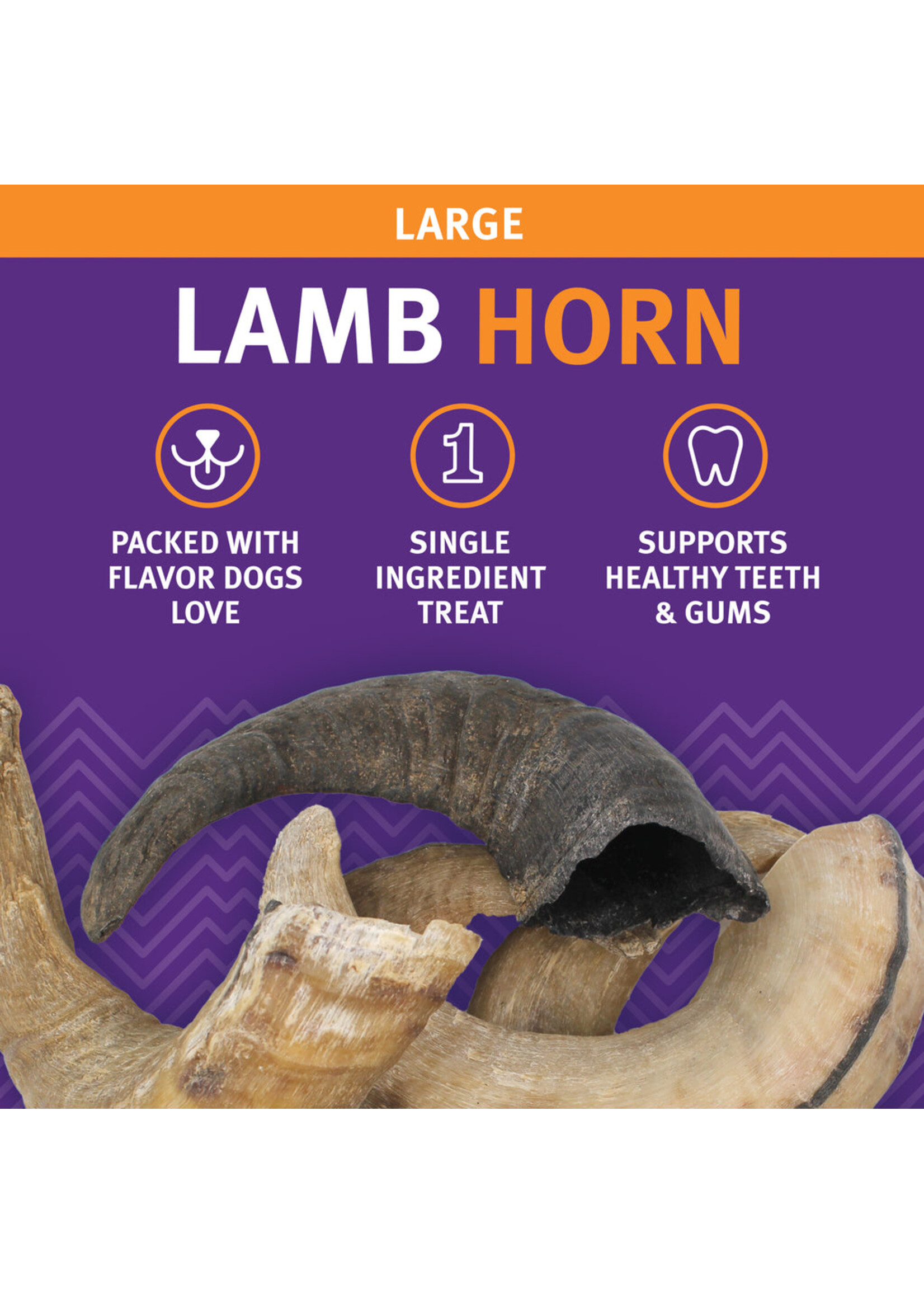 Lamb Horn Large