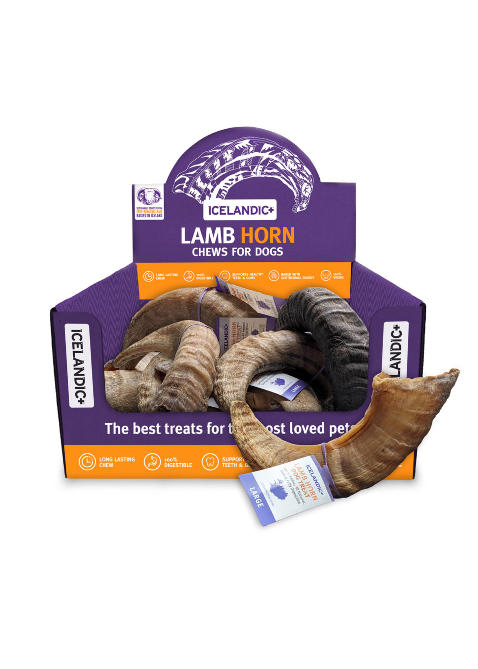 Lamb Horn Large