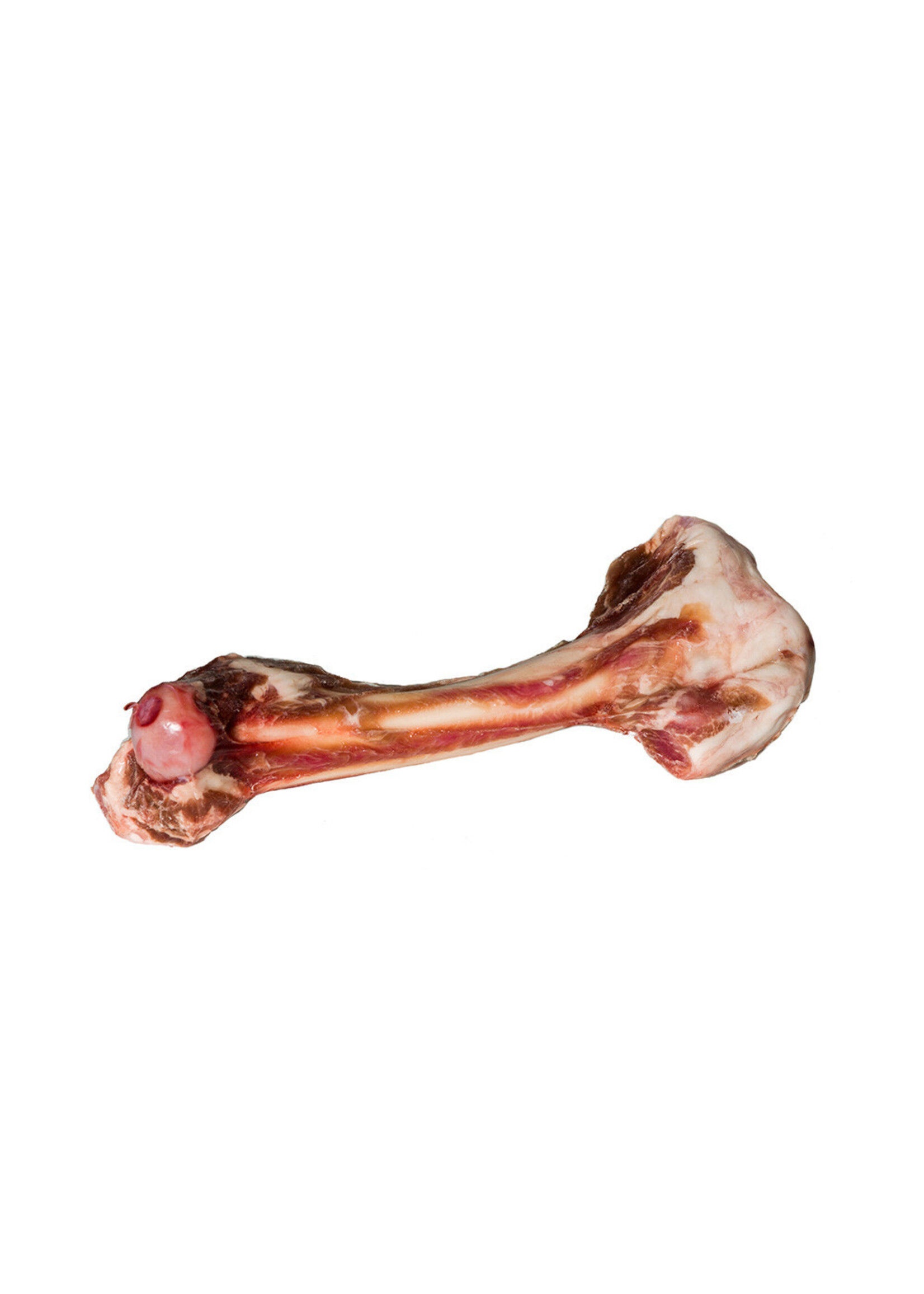 Tucker’s Frozen Raw Lamb Femur