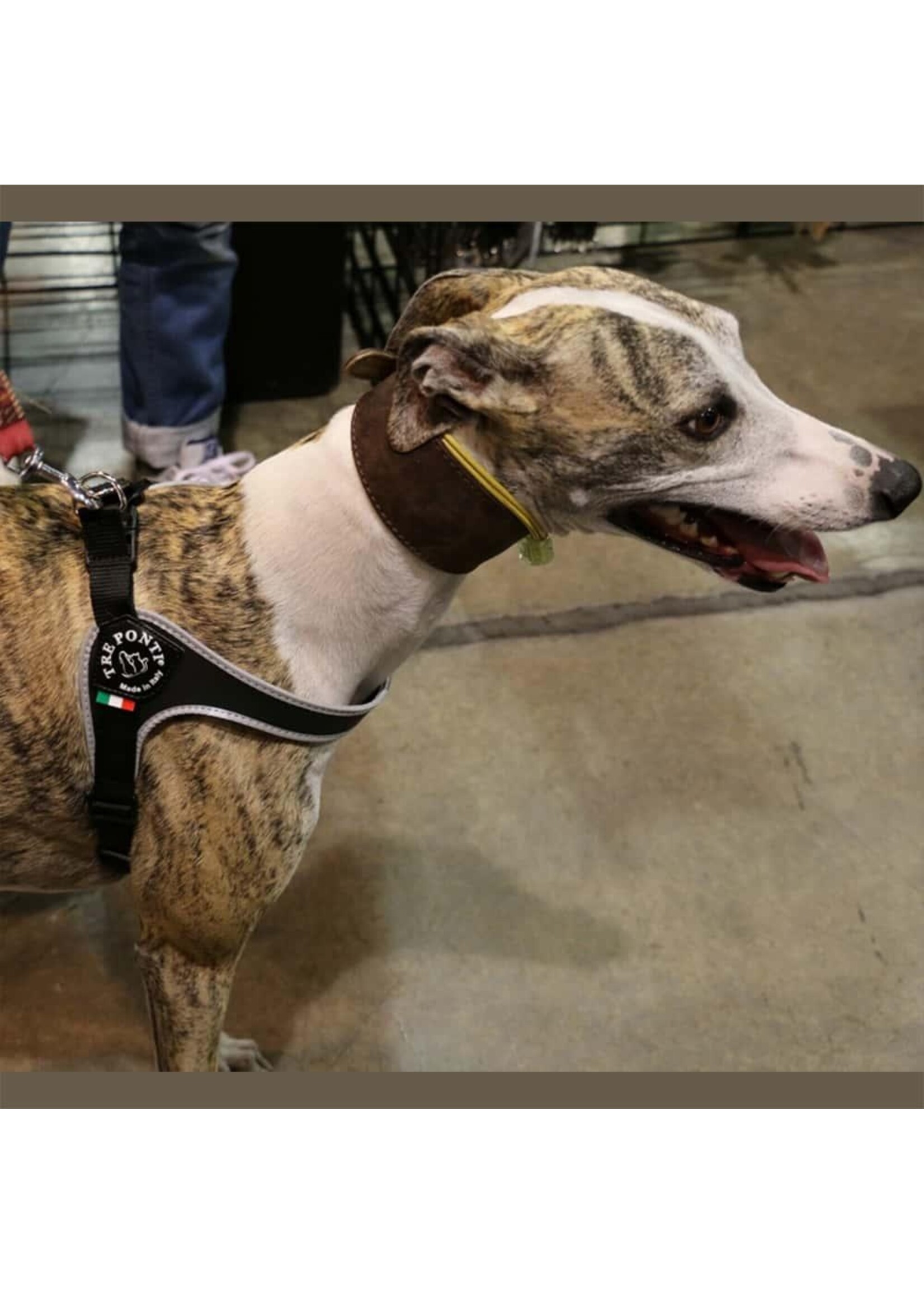 Tre Ponti Genesis Adjustable Belly Harness