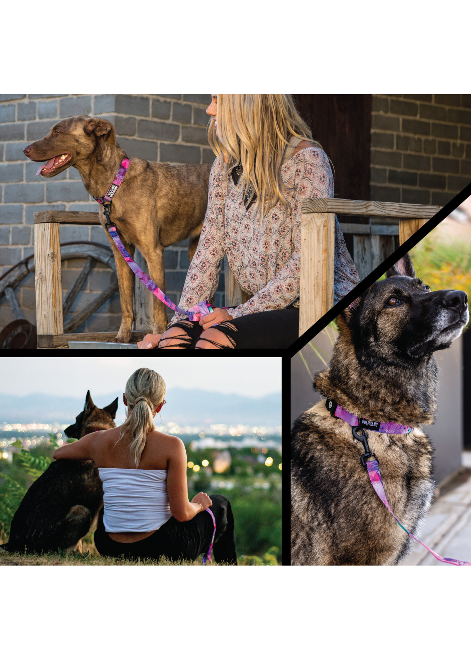 Wolfgang DayDream Leash 6ft