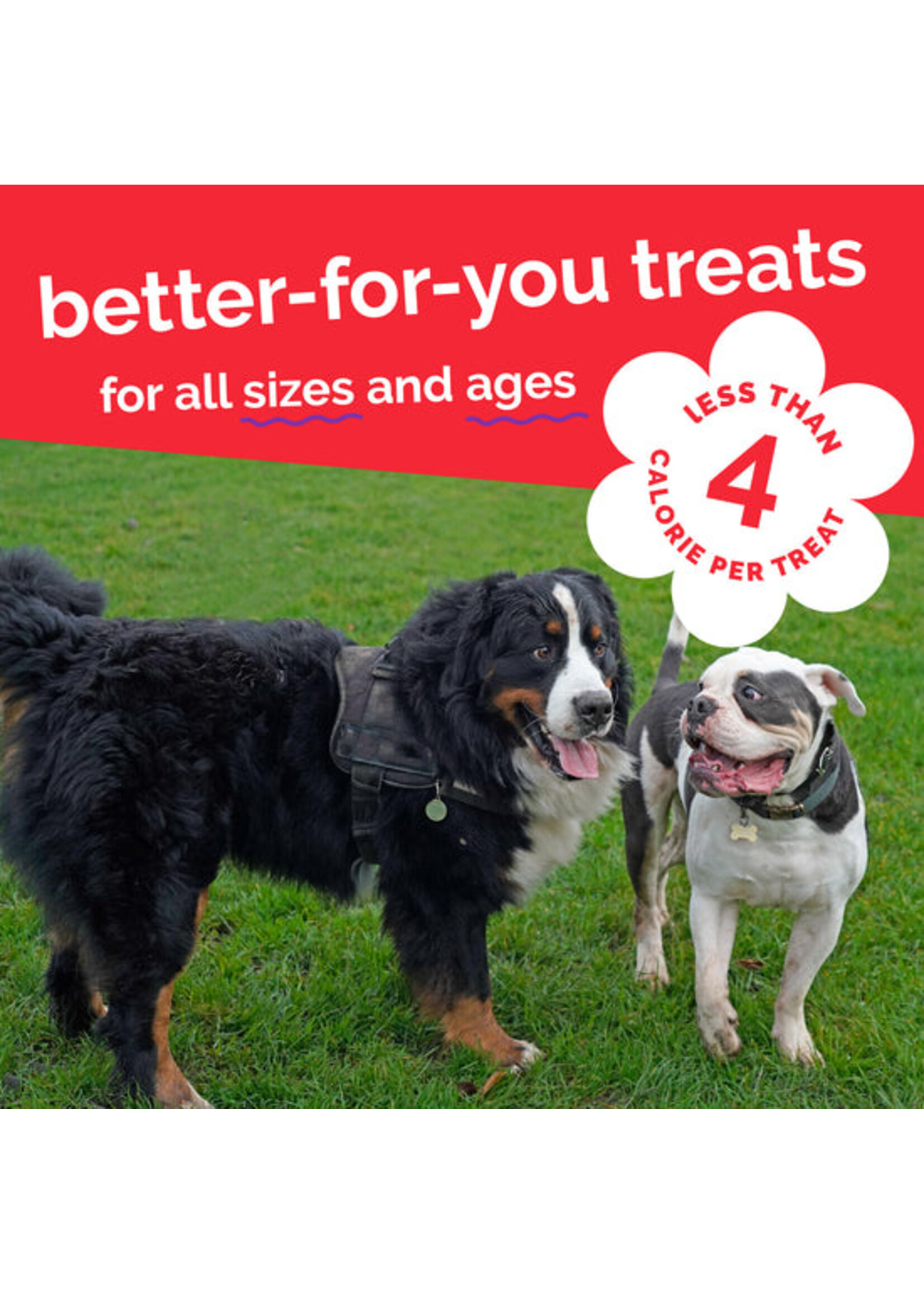 Fruitables Skinny Minis 5oz (Apple n Bacon)