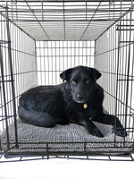 Soggy Doggy Crate Mat 28X42 (Grey)