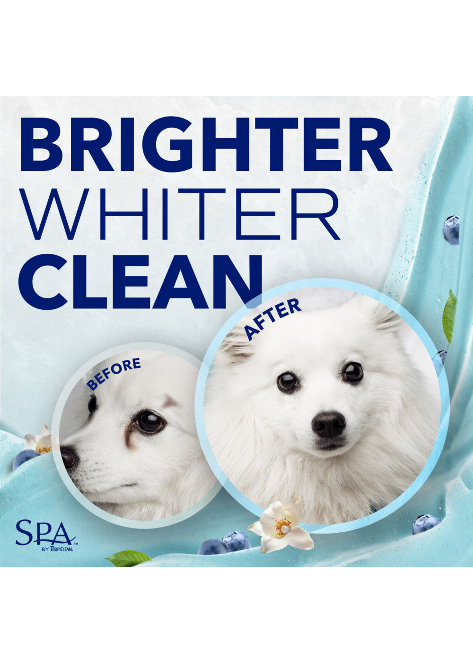 Tropiclean Tear Stain Face Wash 8oz (Blueberry)