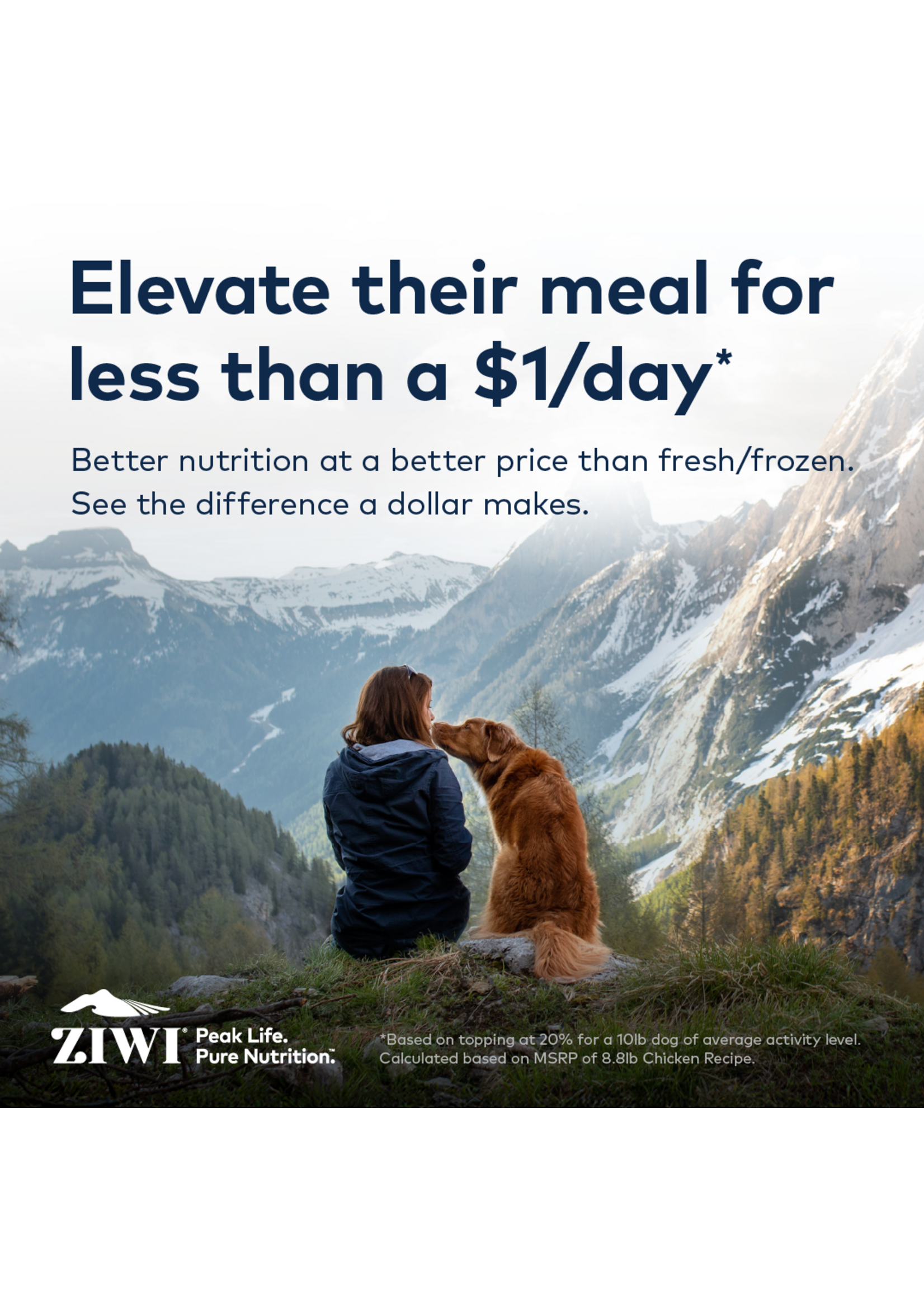 Ziwipeak Daily Dog 16oz (Lamb)