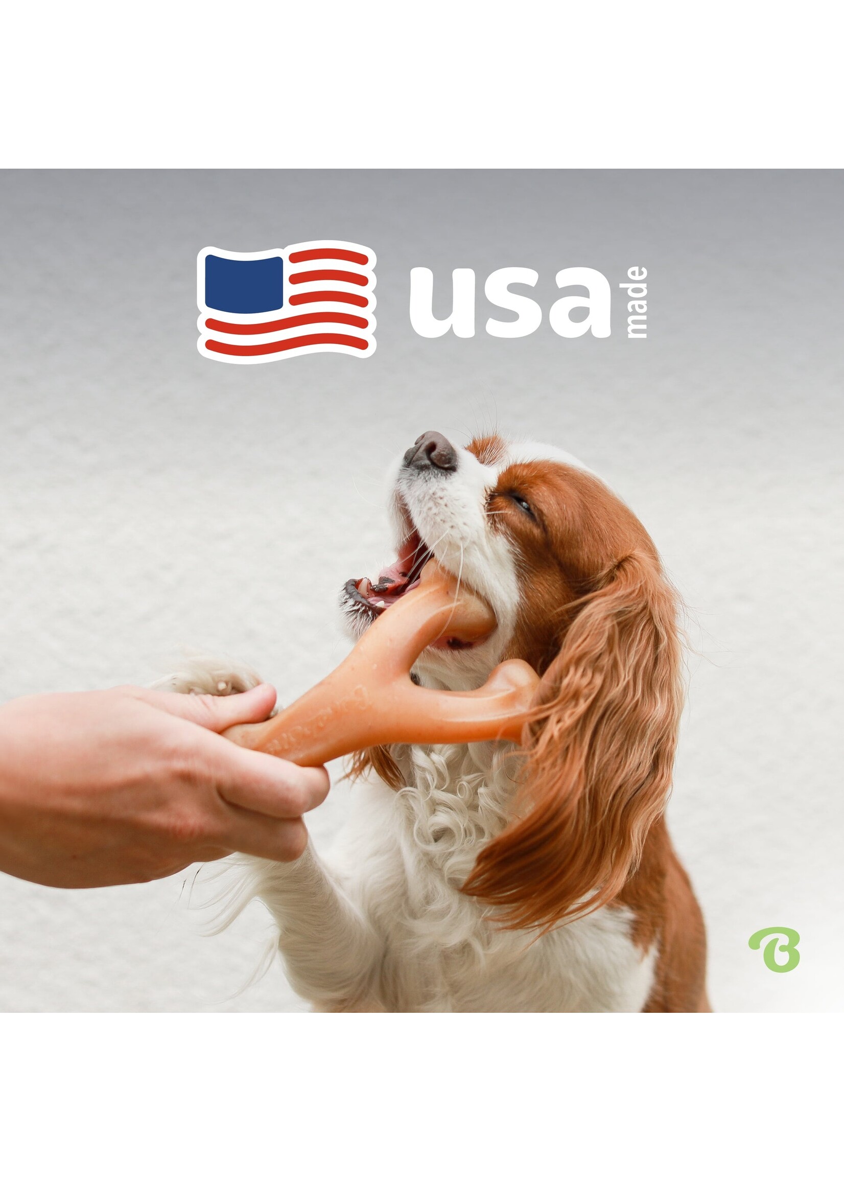 Benebone Wishbone Chicken Med