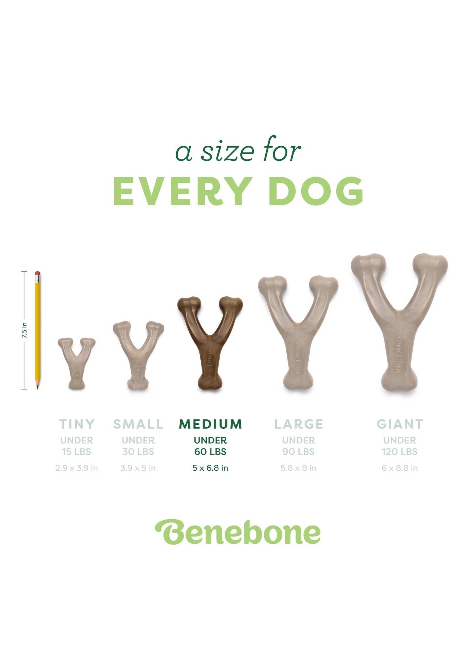 Benebone Wishbone Peanut Butter Medium