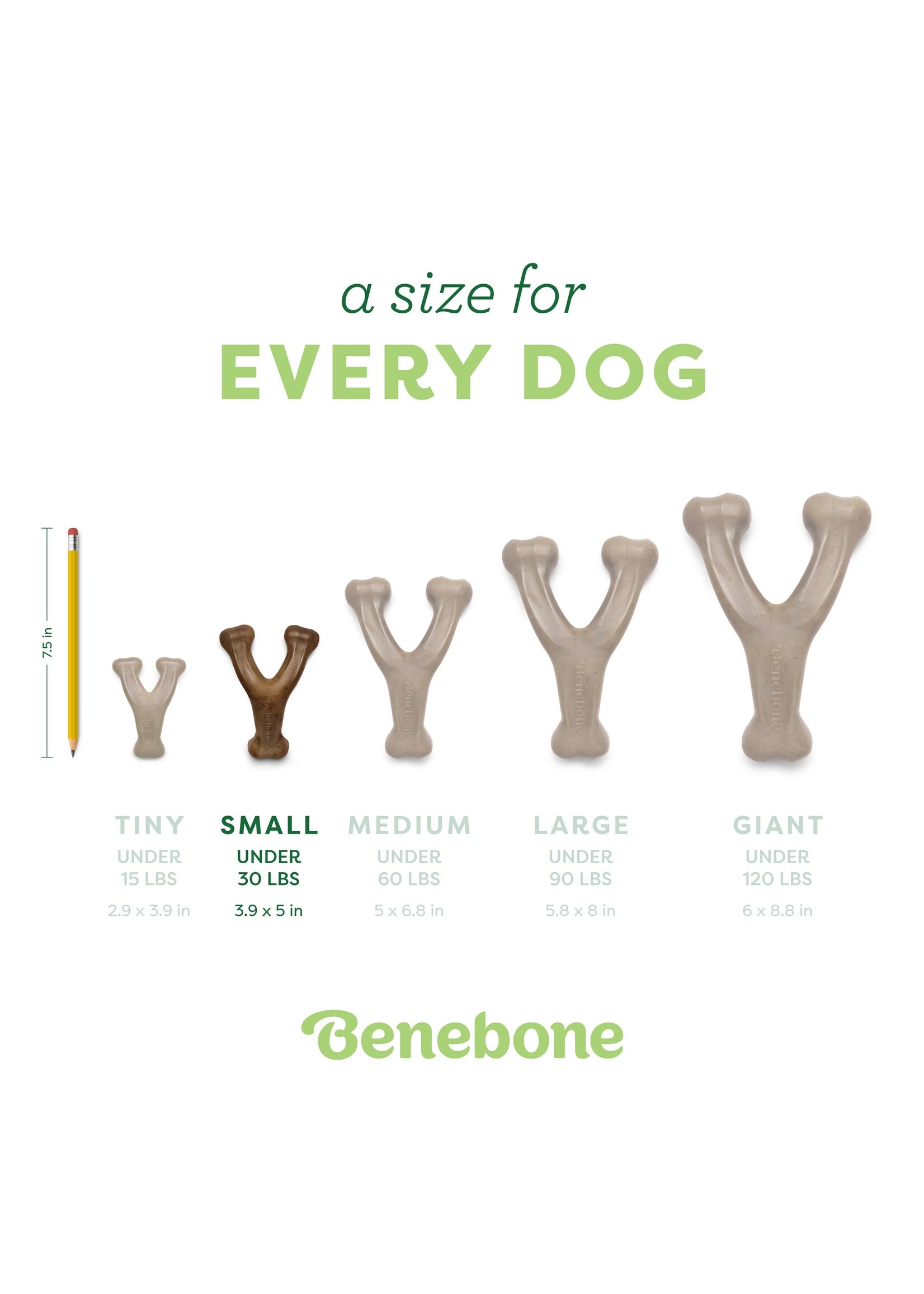 Benebone Wishbone Chicken Small