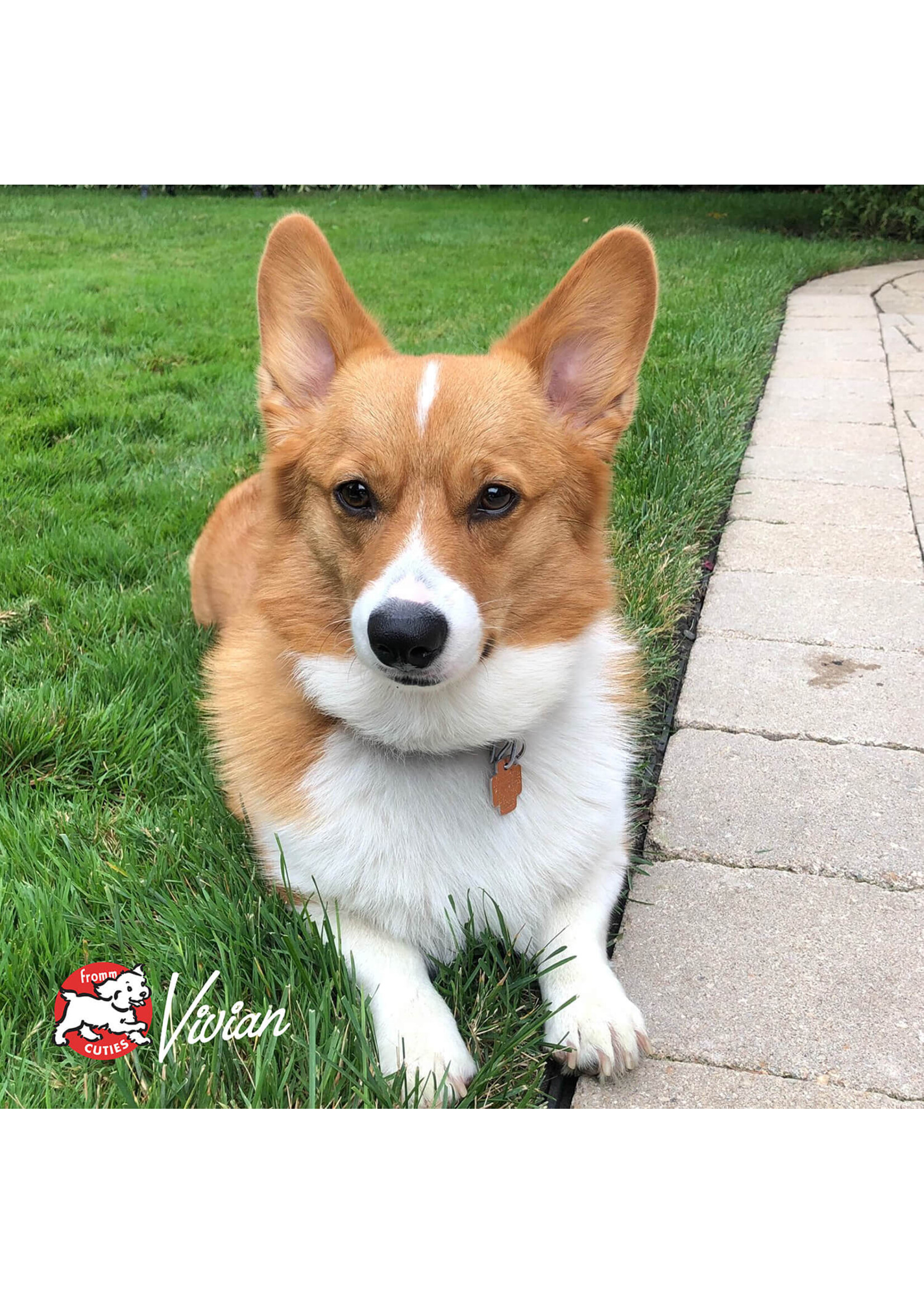 Fromm Gold Turkey Paté 12oz