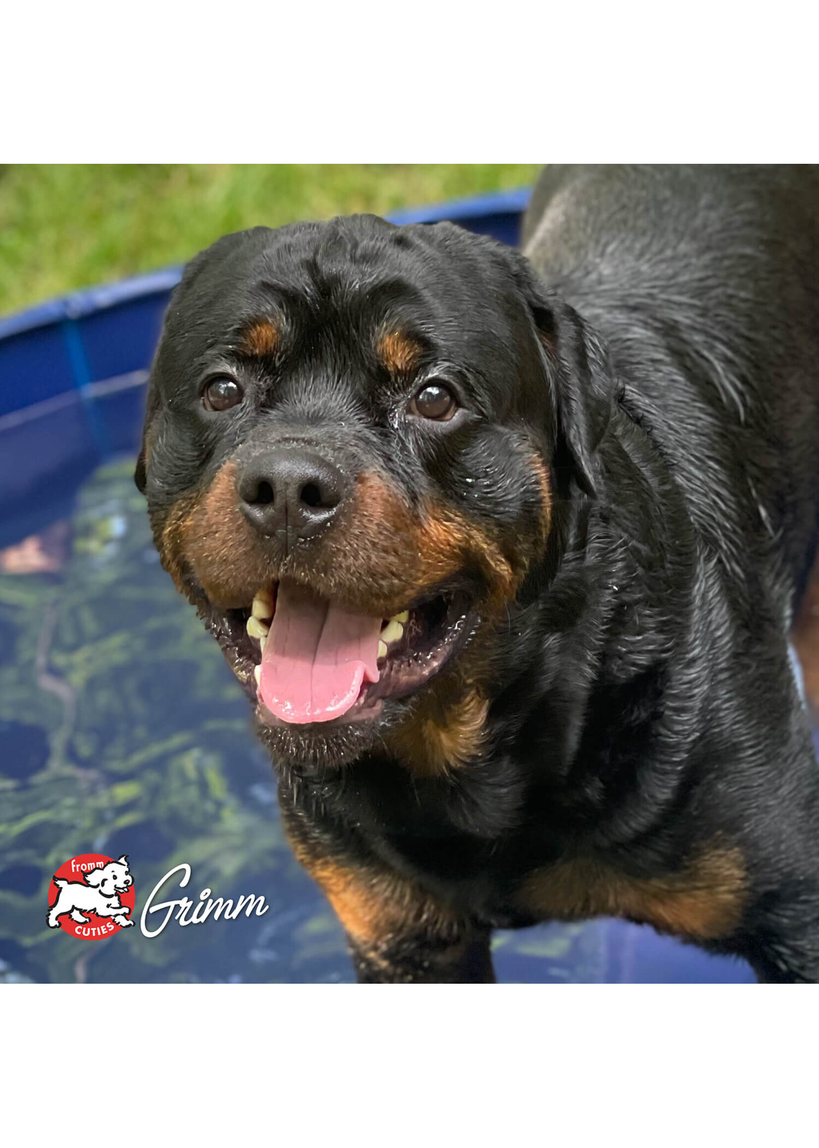 Fromm Gold Turkey Paté 12oz