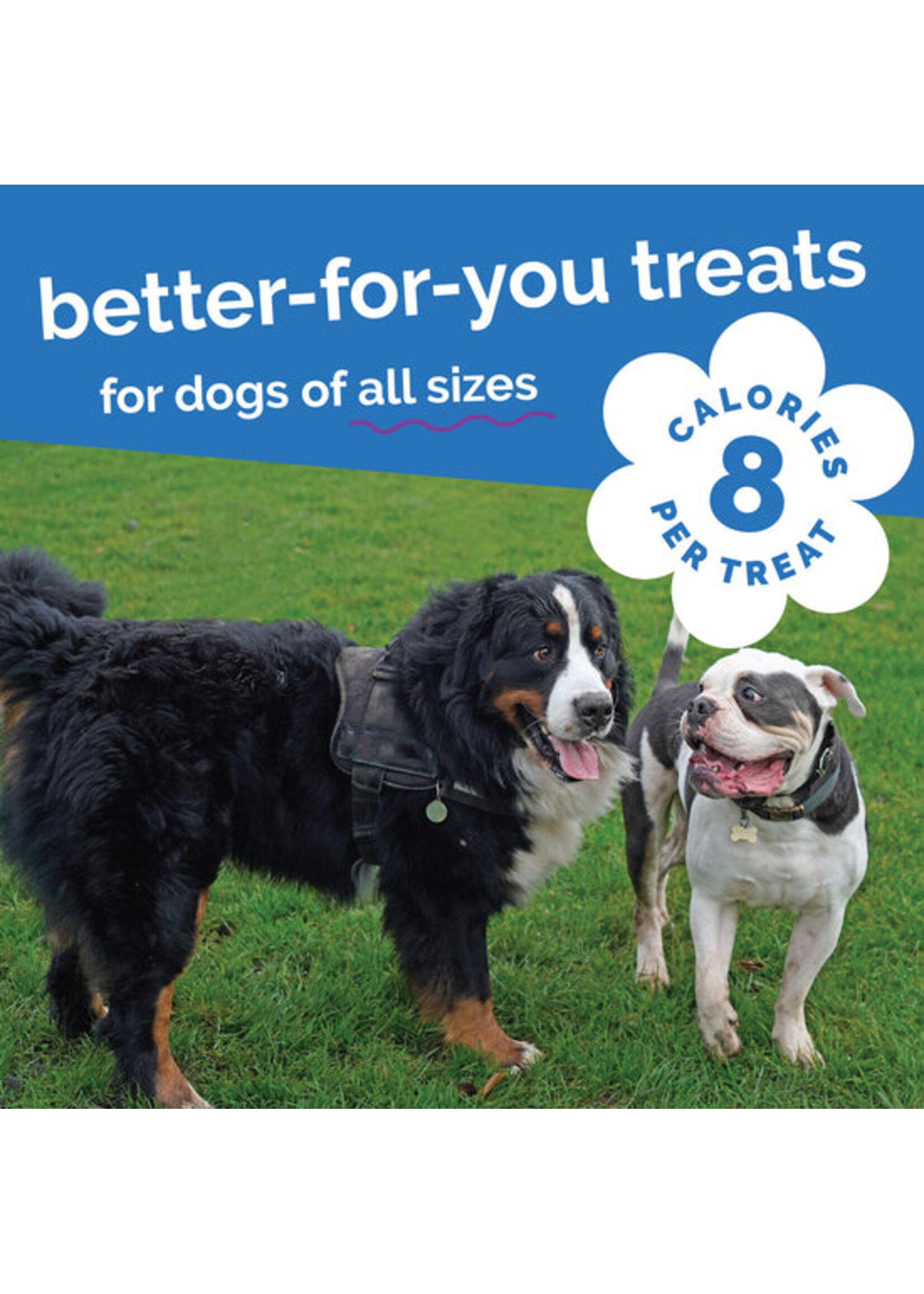 Fruitables Pumpkin n Blueberry Crunchy 7oz