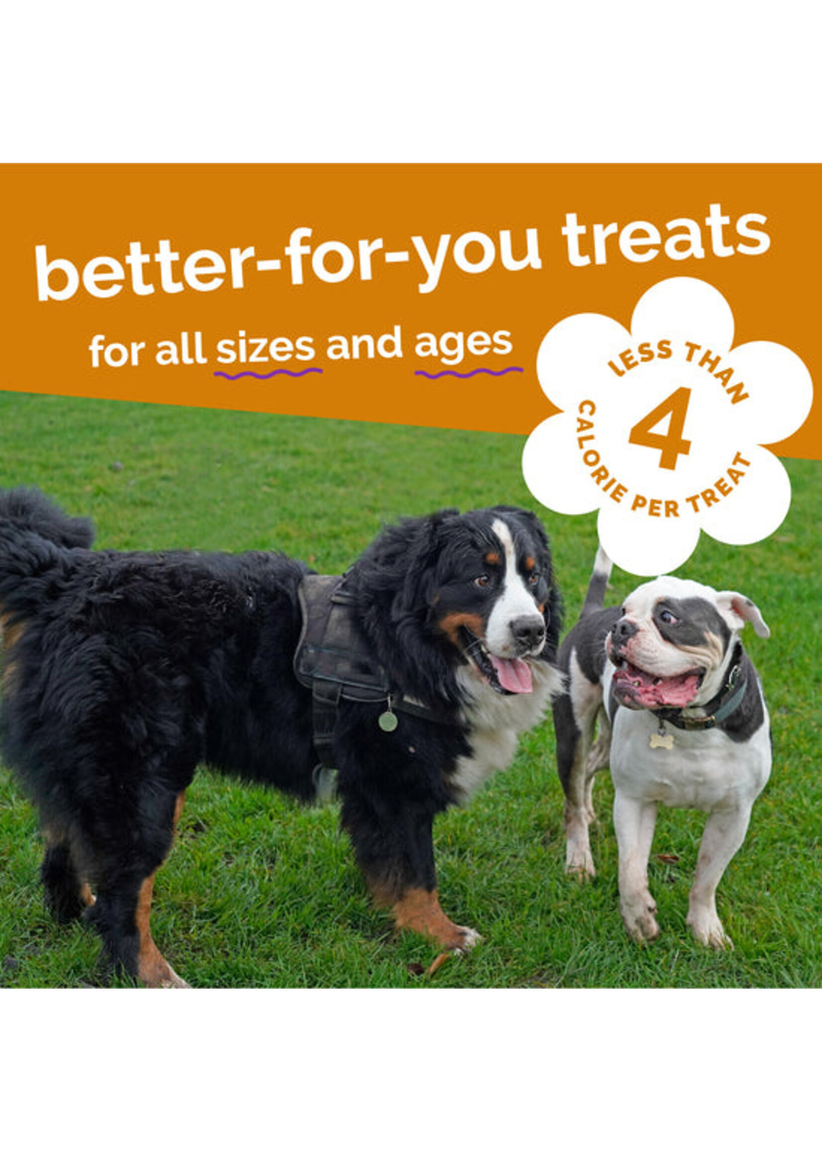 Fruitables Skinny Minis 5oz (Rotisserie Chicken)