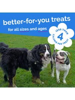 Fruitables Skinny Minis 5oz (Pumpkin n Berry)