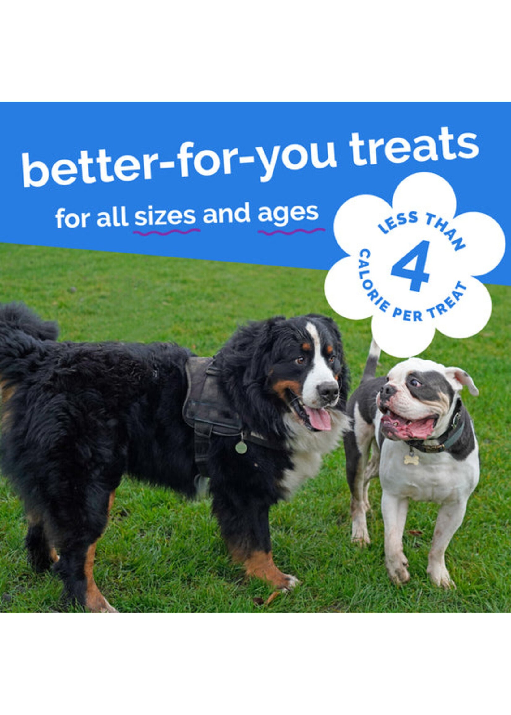 Fruitables Skinny Minis 5oz (Pumpkin n Berry)