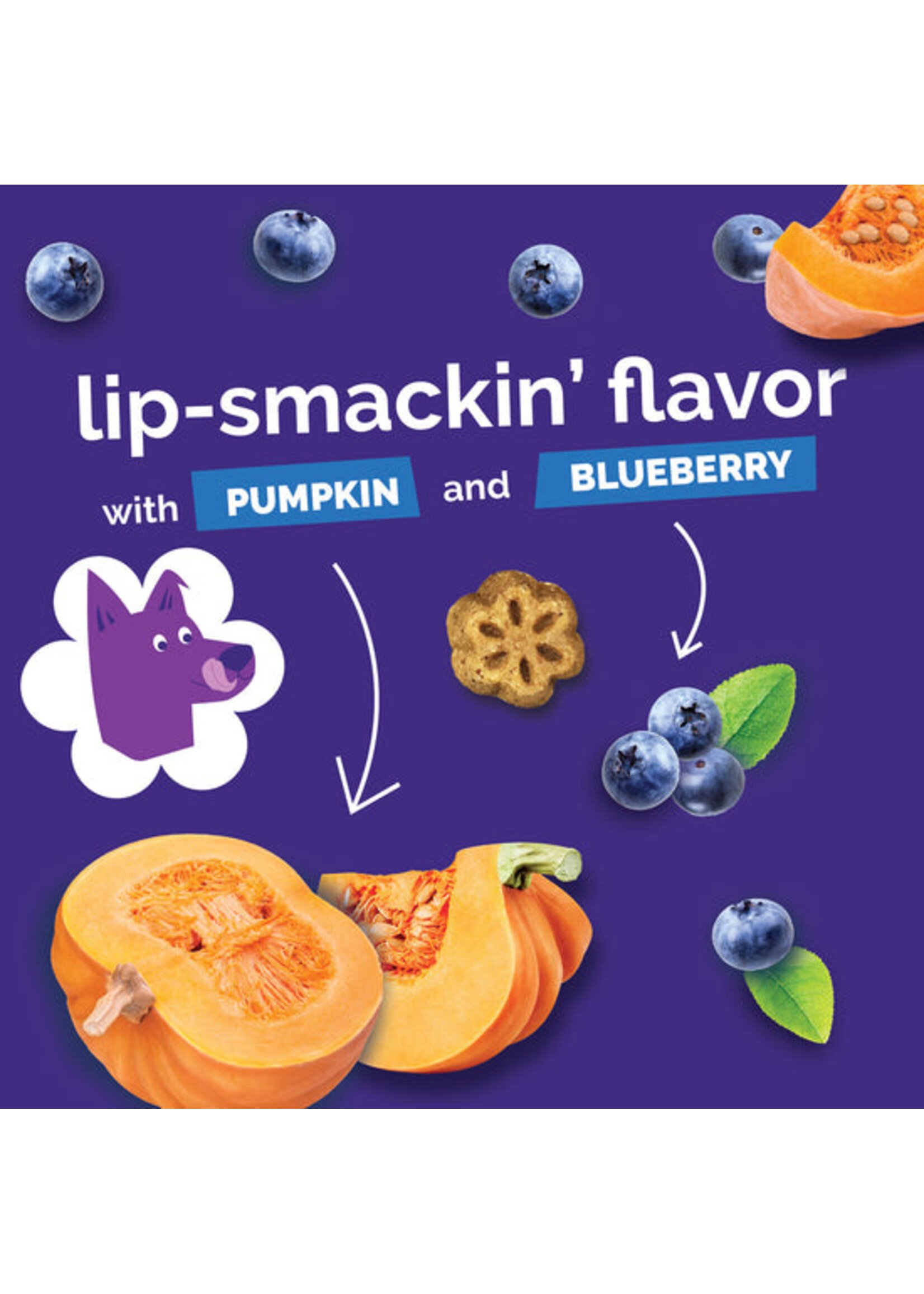 Fruitables Skinny Minis 5oz (Pumpkin n Berry)