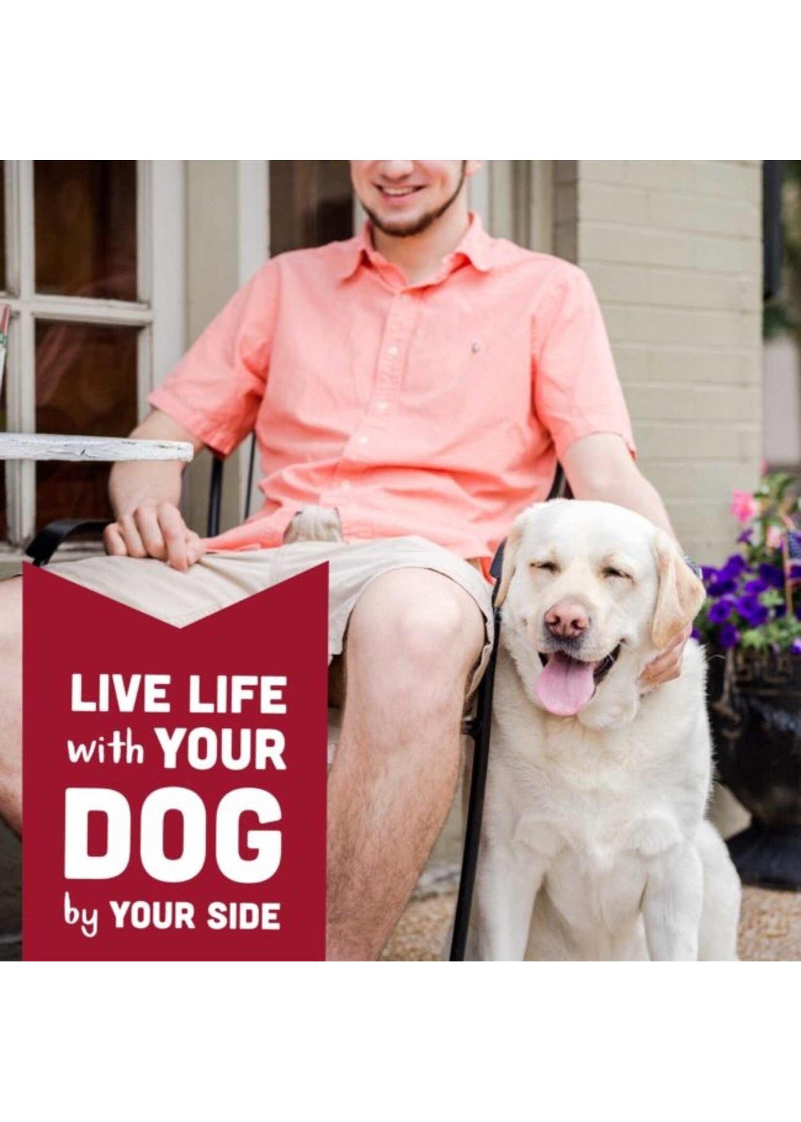 WMBL Pumpkin Biscuits 14oz