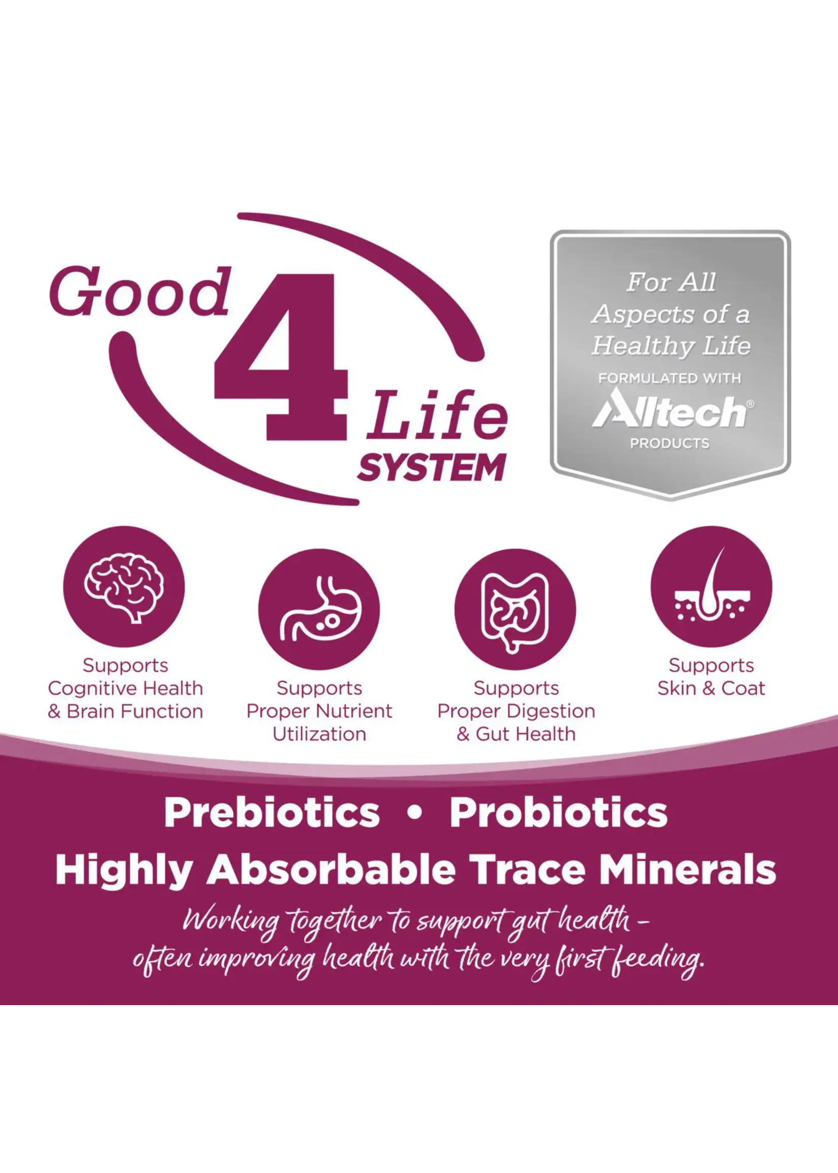 Nutrisource Cat n Kitten 6.6lb (Chicken/Rice)