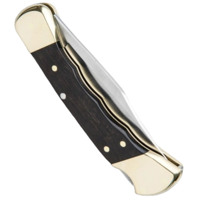 Buck Knives 110 Hunter Lockback